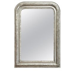 19th Century Silver Giltwood Mirror, France, circa 1860