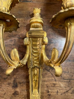 19th Century Single French Gilt Bronze Two-Candle Wall Sconce Louis XVI Style.