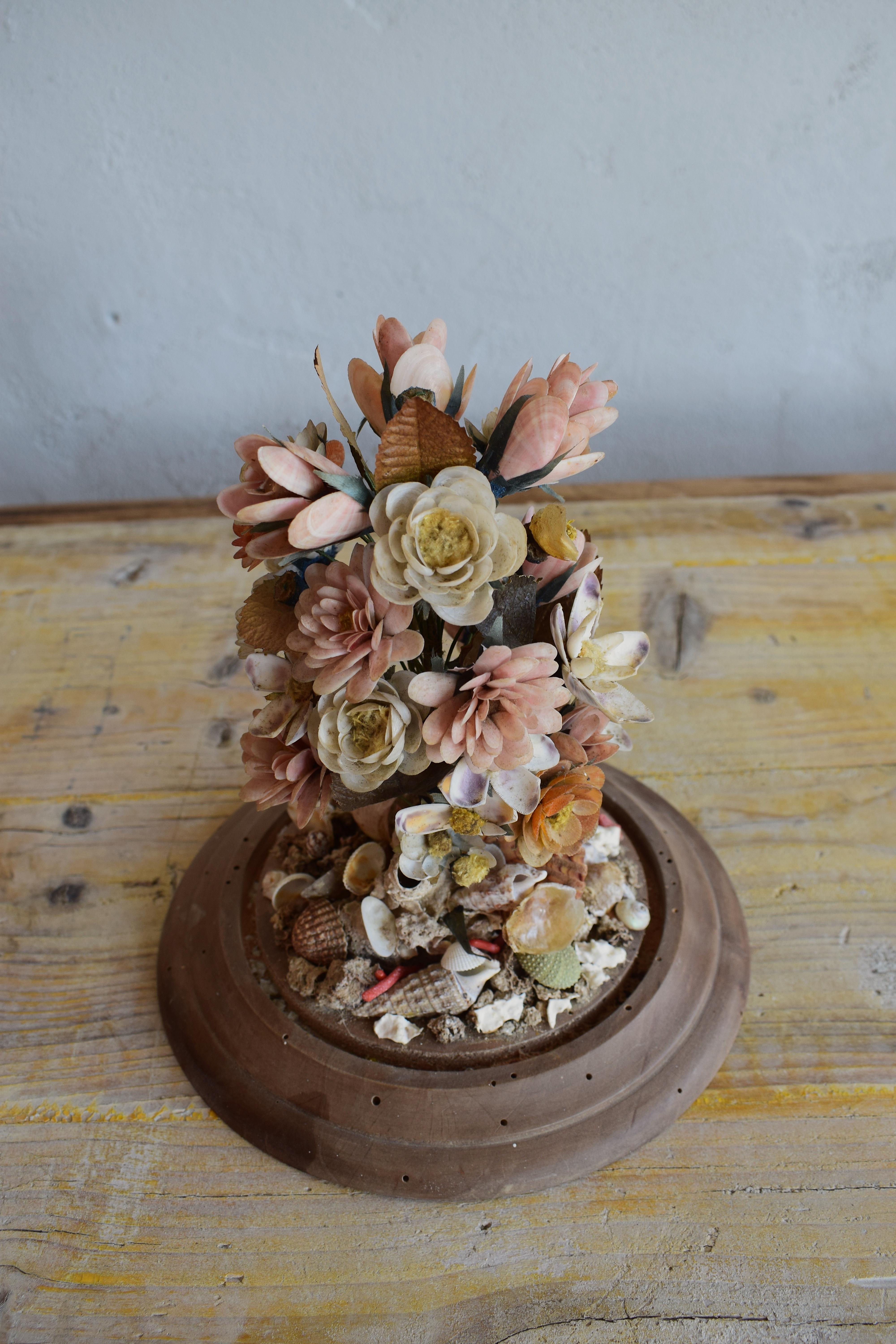 19th Century Small Antique Seashell Wedding Bouquet with Circular Glass Dome  7