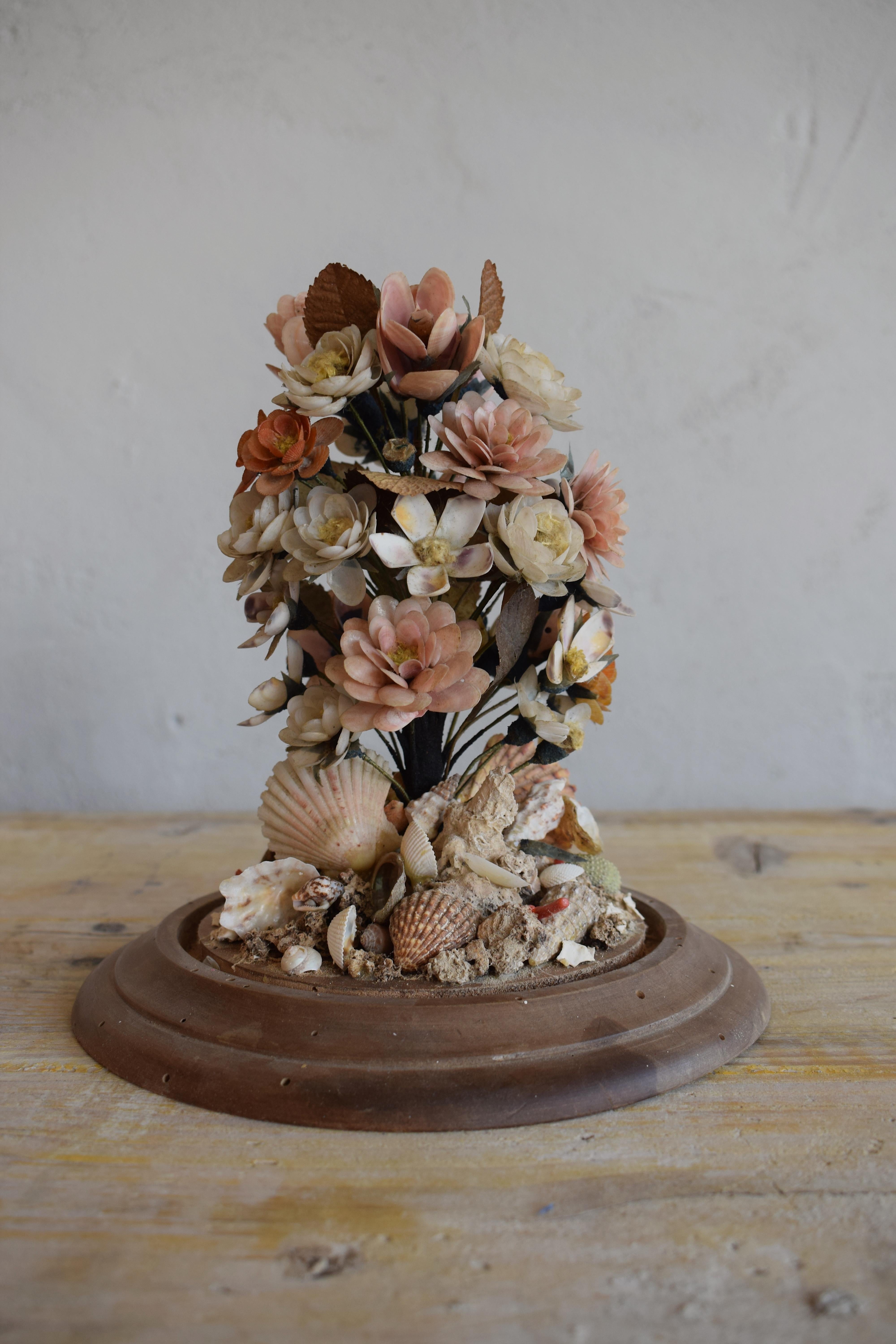 Natural Fiber 19th Century Small Antique Seashell Wedding Bouquet with Circular Glass Dome 