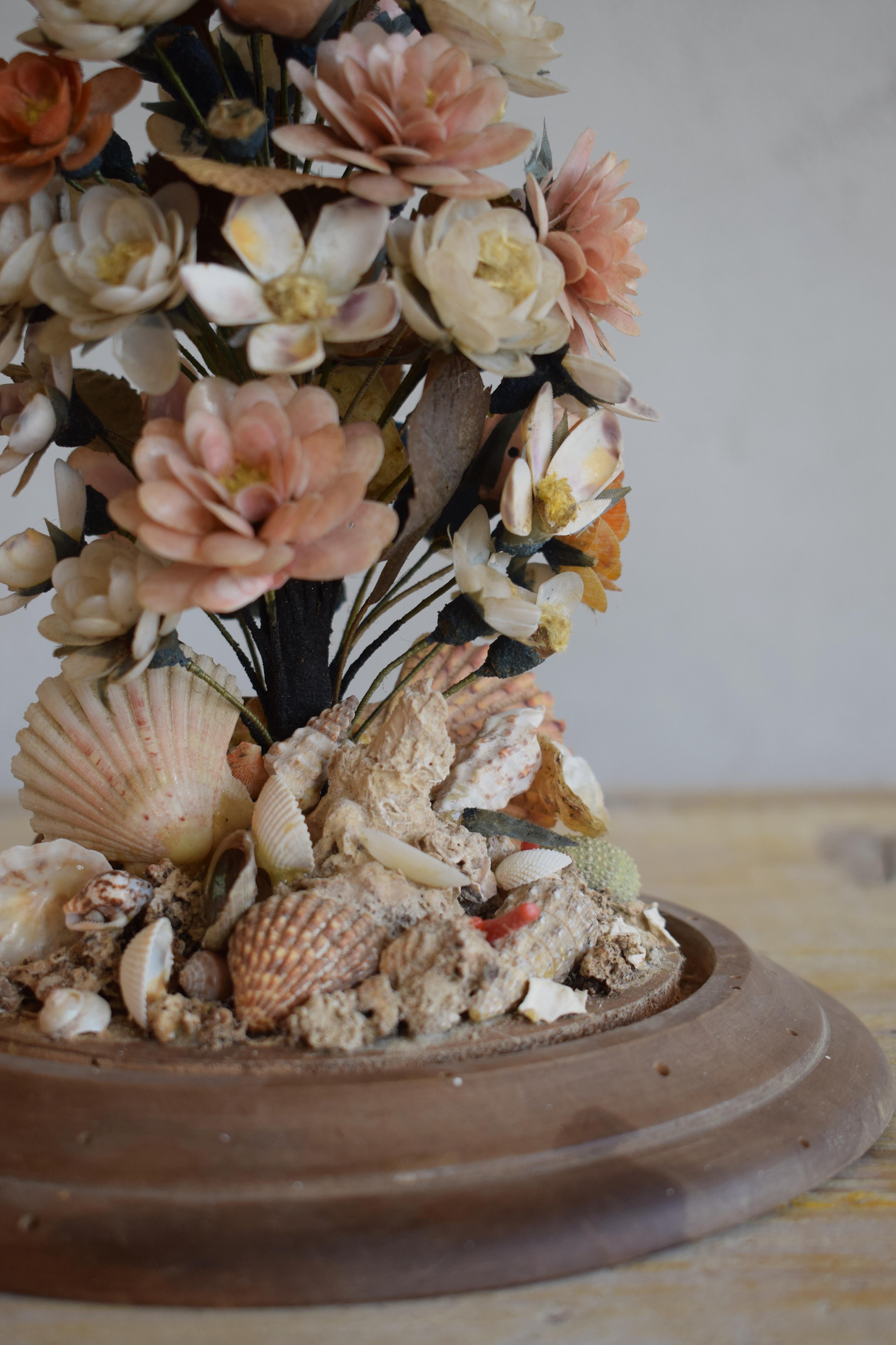 19th Century Small Antique Seashell Wedding Bouquet with Circular Glass Dome  1