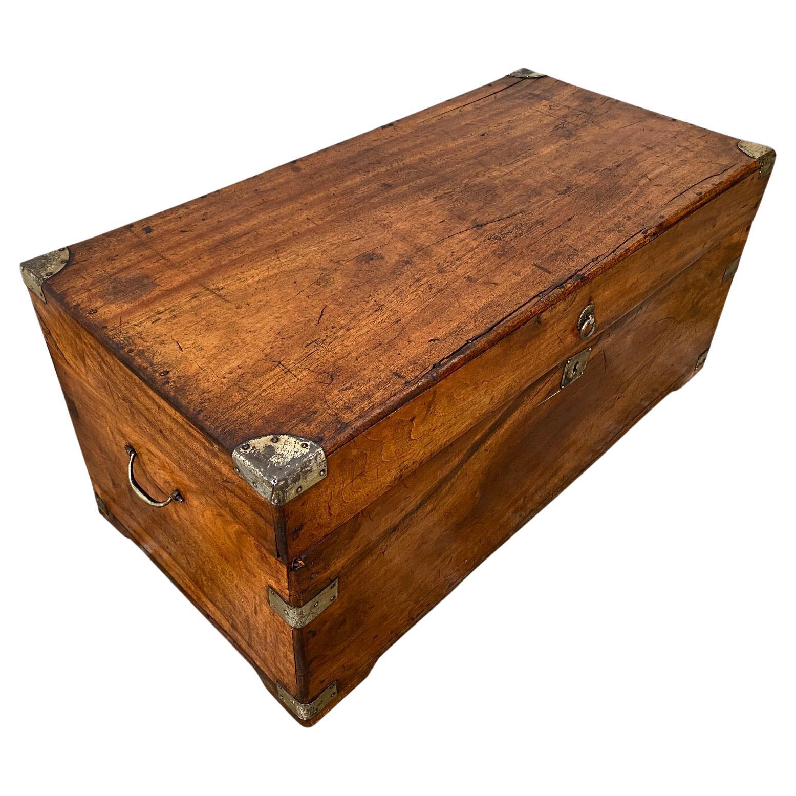 19th Century Small Camphor Wood Chest