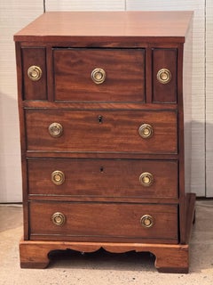 19th Century Small English Mahogany Chest