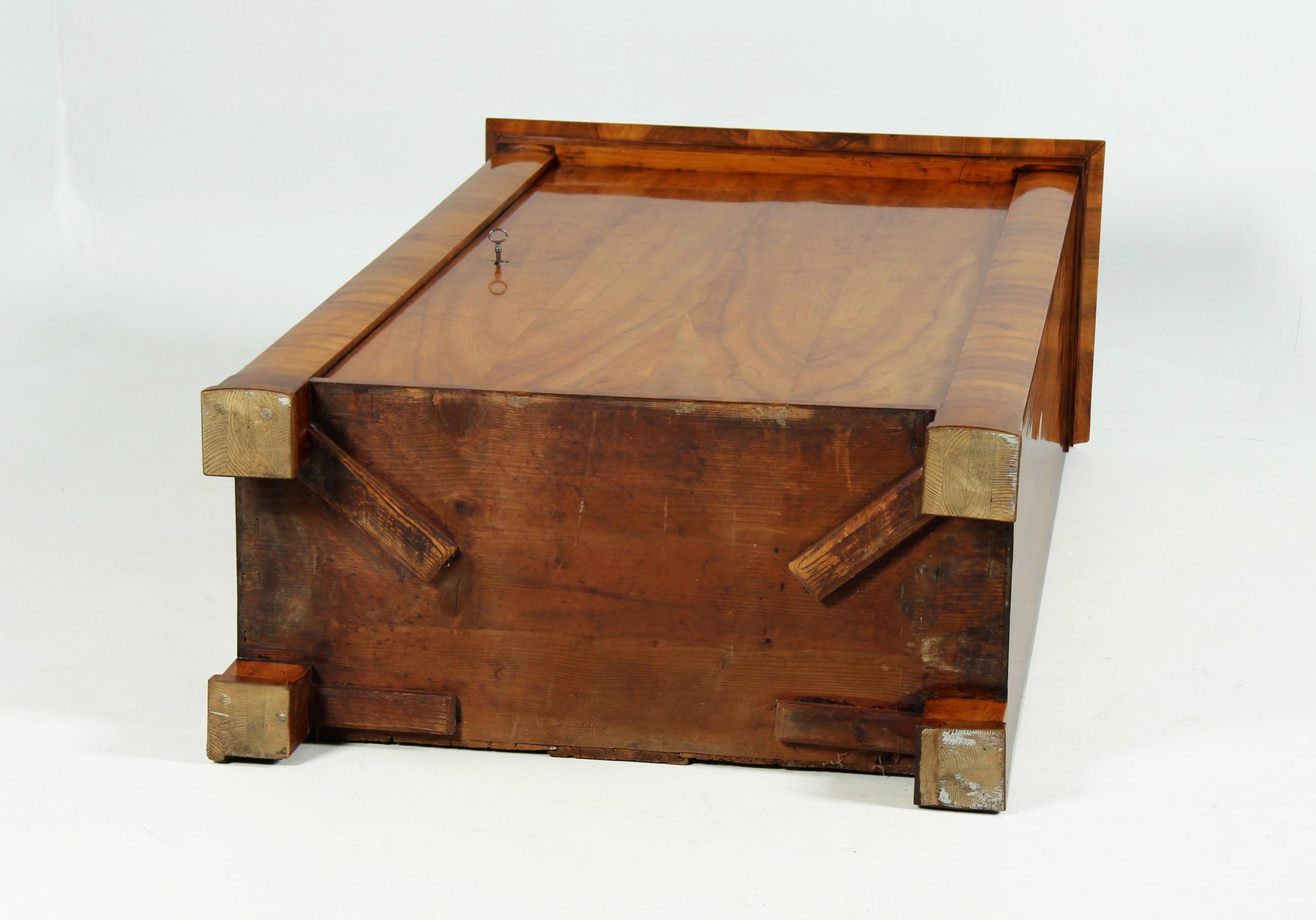 Piccolo armadio Biedermeier a un'anta del XIX secolo, Austria, circa 1830 in vendita 4