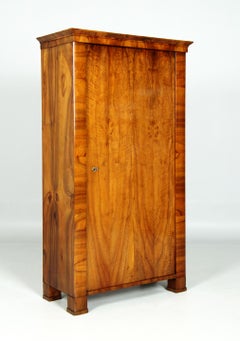 19th Century Small, Single-Door Biedermeier Wardrobe, Austria, circa 1830