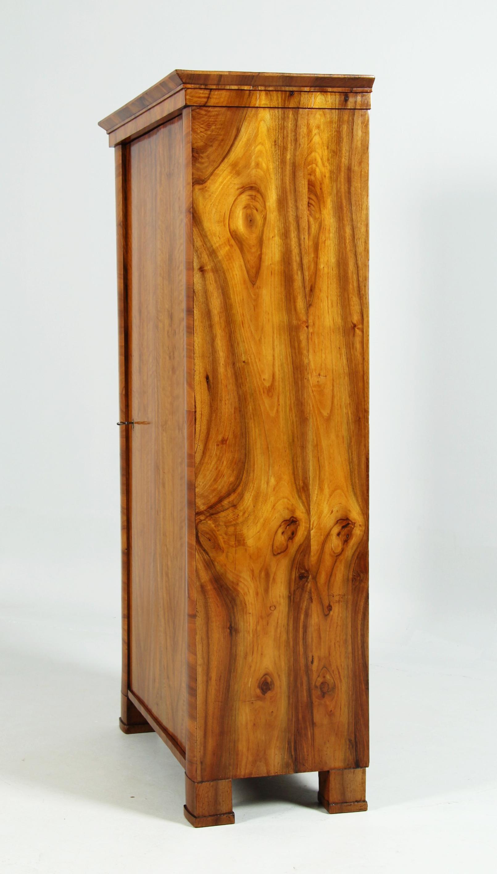 Piccolo armadio Biedermeier a un'anta del XIX secolo, Austria, circa 1830 in vendita 2
