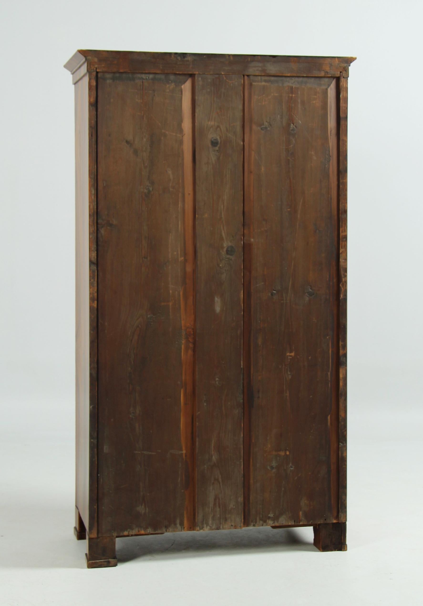 Piccolo armadio Biedermeier a un'anta del XIX secolo, Austria, circa 1830 in vendita 3