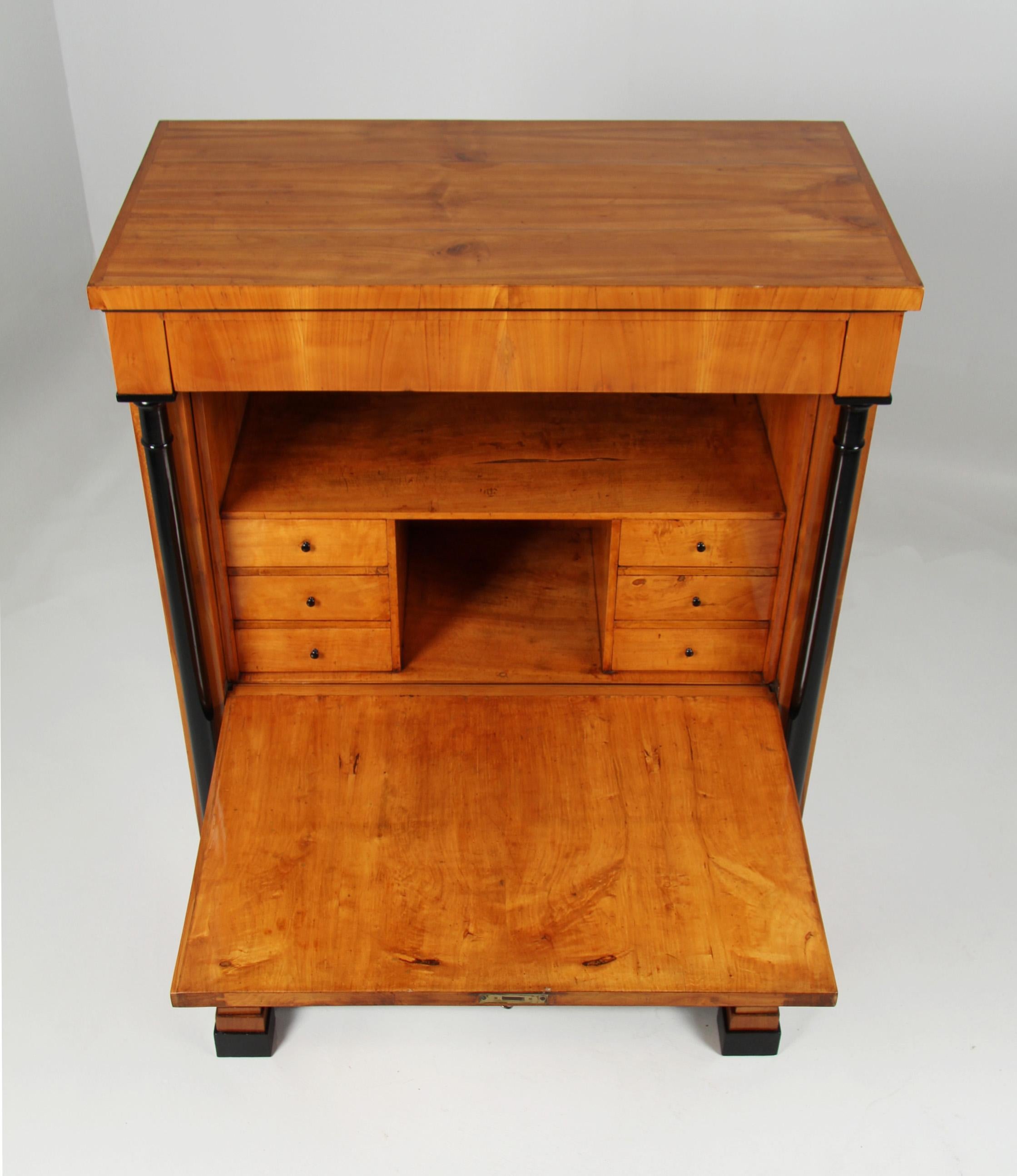 19th Century Southern German Secretaire, Cherry, Biedermeier circa 1830 For Sale 6