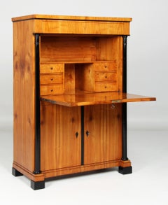 19th Century Southern German Secretaire, Cherry, Biedermeier circa 1830