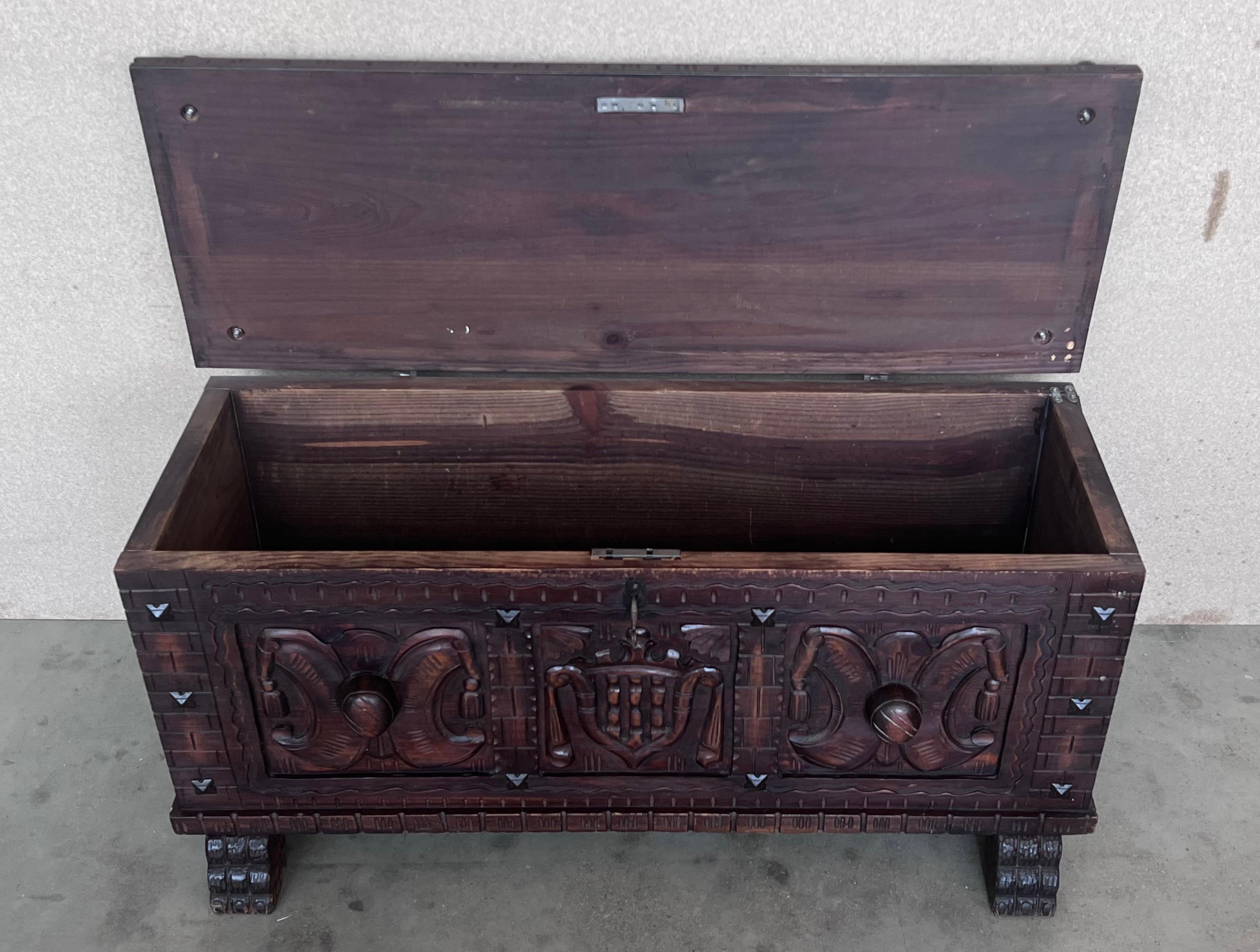 19th Century Spanish Baroque Hand Carved Chest Trunk with Iron Handles 2