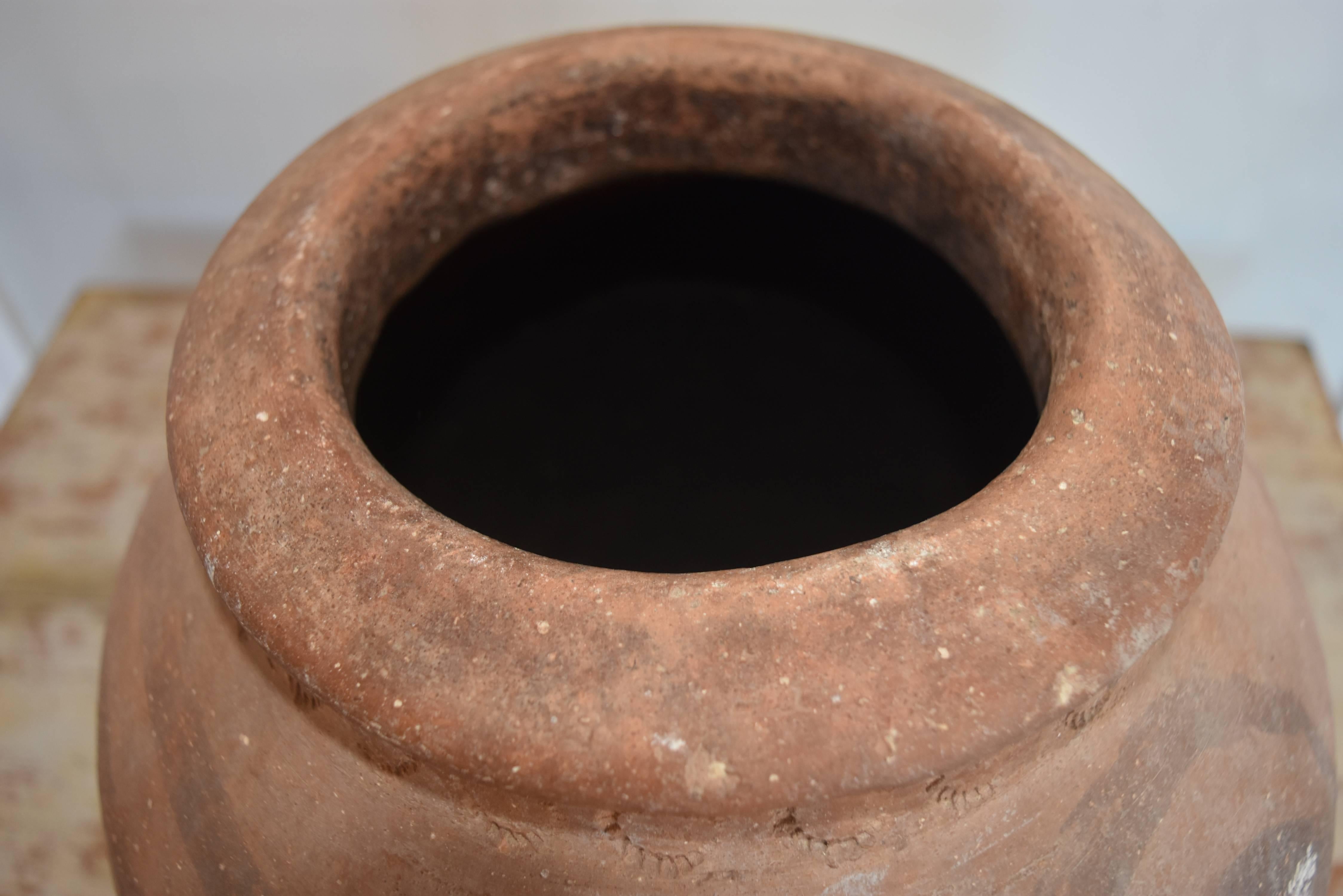19th Century Spanish Ceramic Jar from Andalusia 4