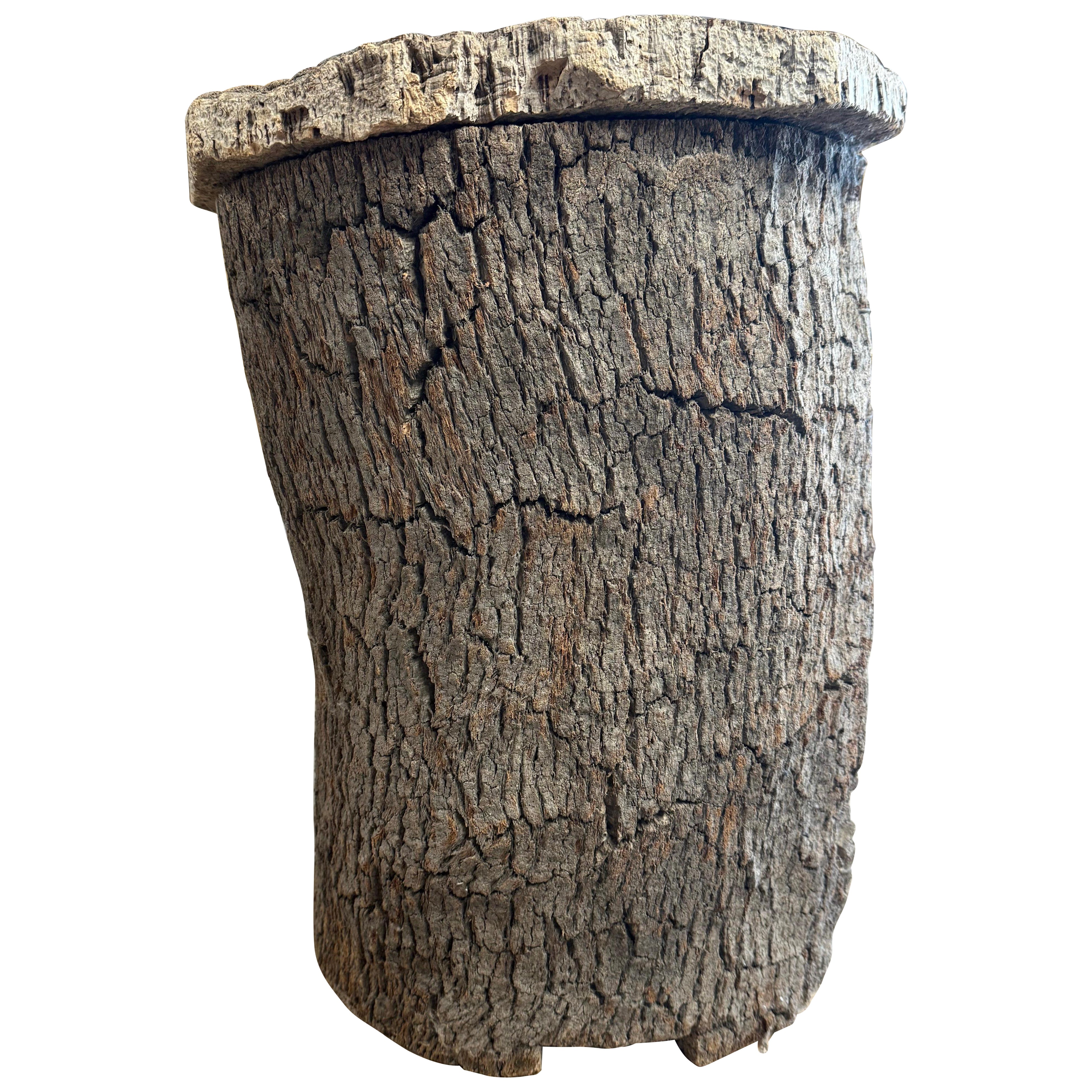 19th Century Spanish Cork Beehive