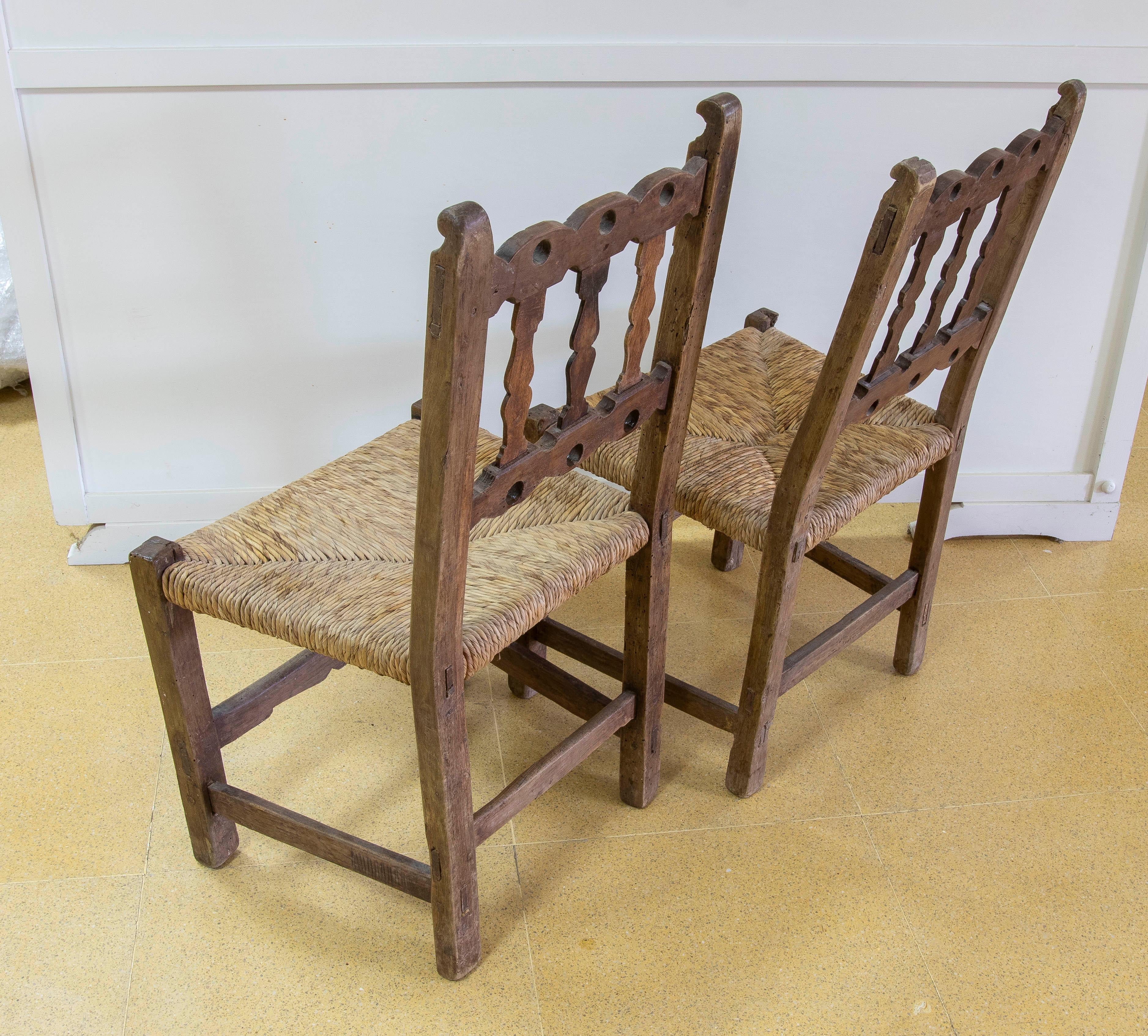 Paire de chaises espagnoles du 19ème siècle en forme d'olivier avec sièges en forme de rouleau Bon état - En vente à Marbella, ES