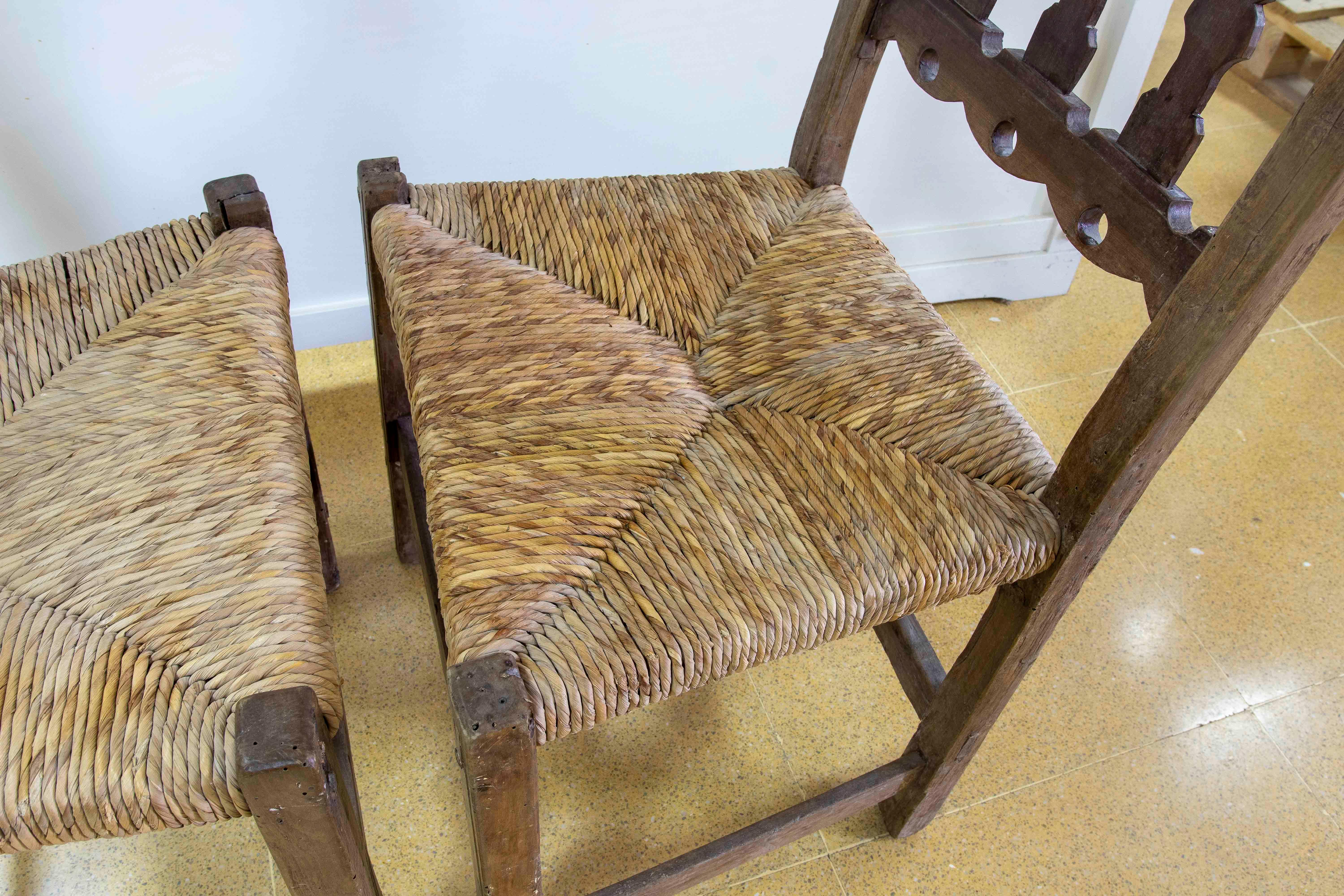 Paire de chaises espagnoles du 19ème siècle en forme d'olivier avec sièges en forme de rouleau en vente 1