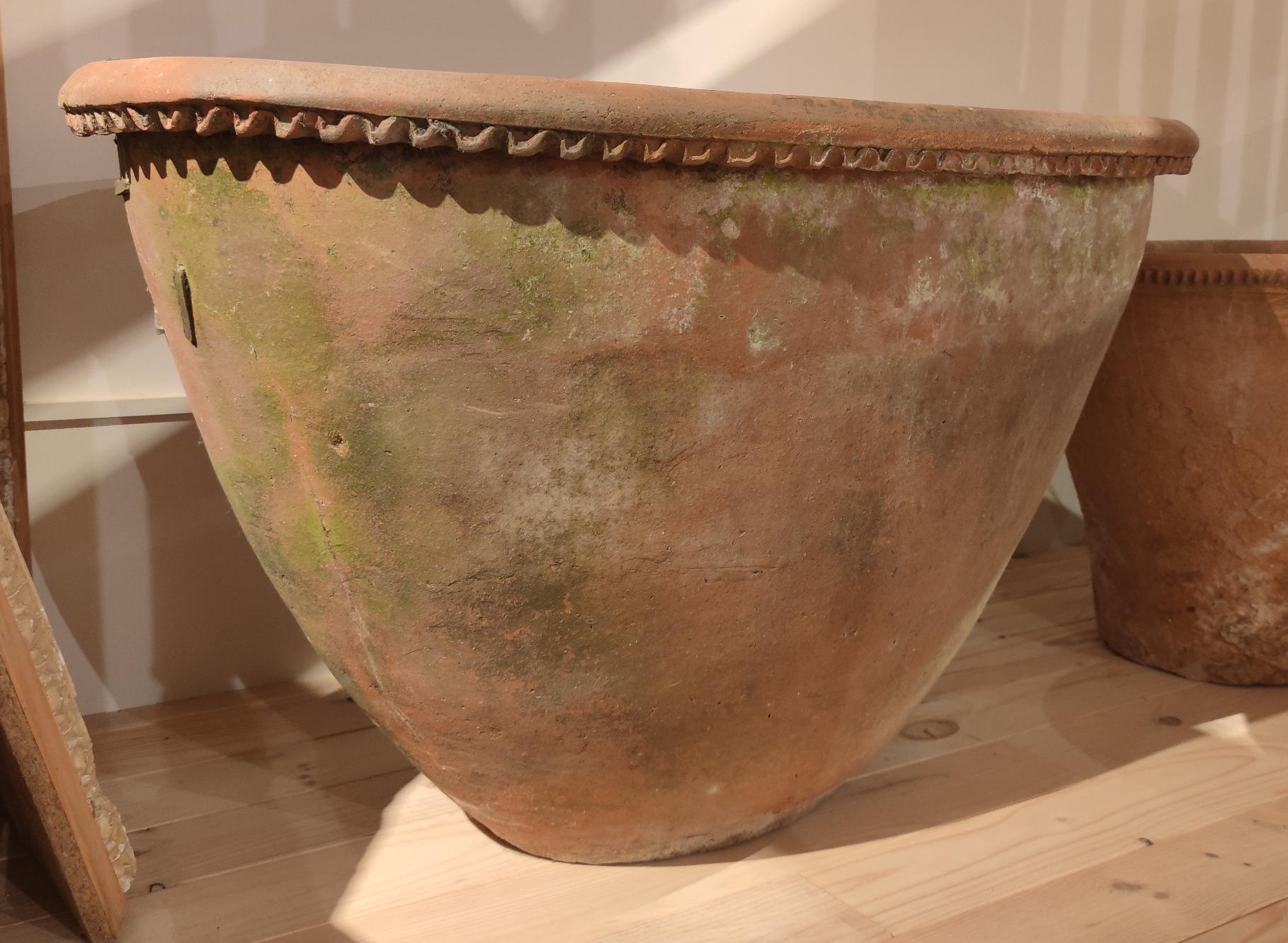 20th Century 19th Century Spanish Red Terracotta Oval Planter