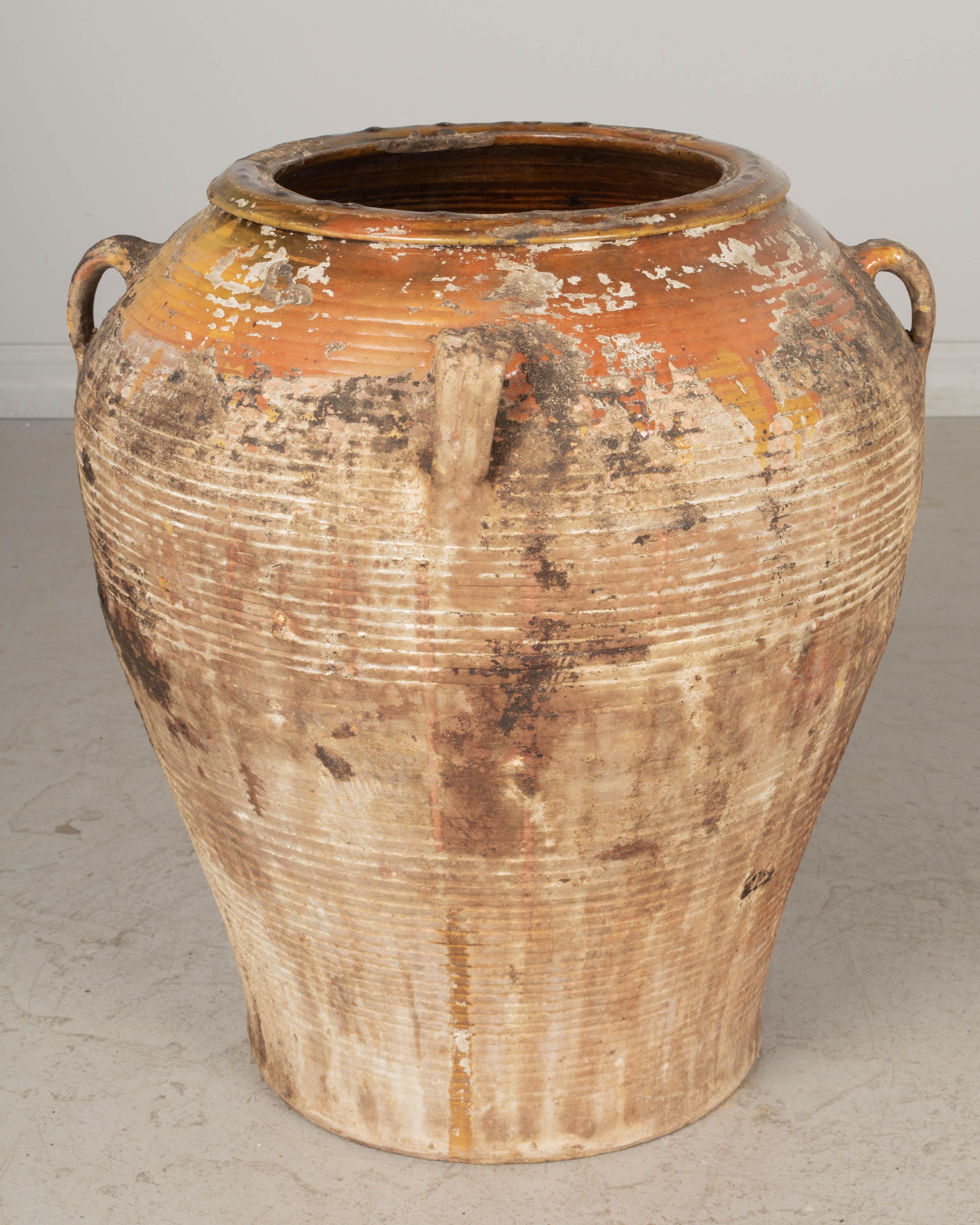 Spanisches Terrakotta-Olivglas aus dem 19. Jahrhundert im Angebot 6