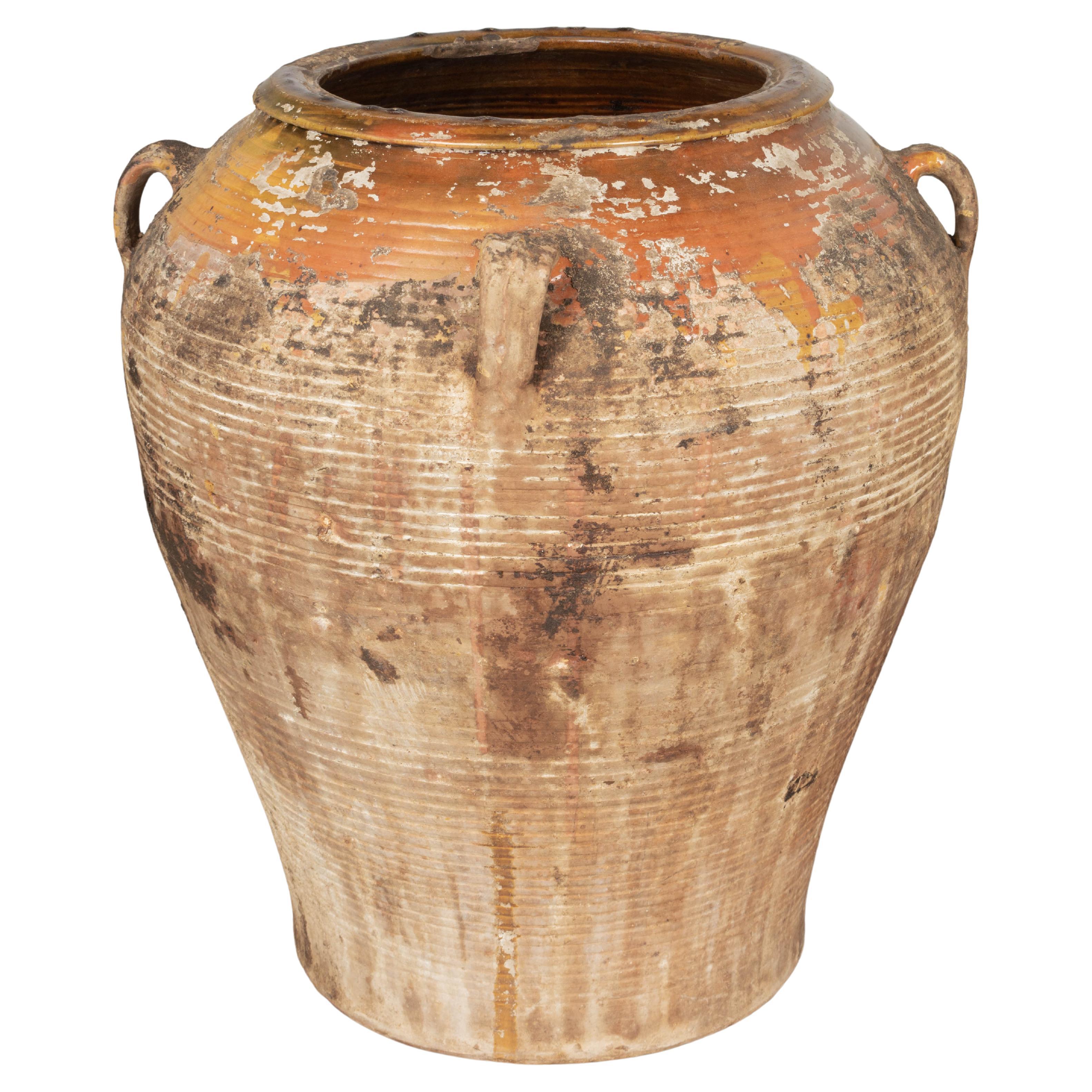 Spanisches Terrakotta-Olivglas aus dem 19. Jahrhundert im Angebot