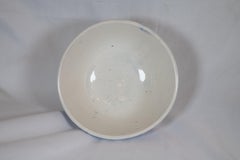 19th Century  Spongewear Bowl