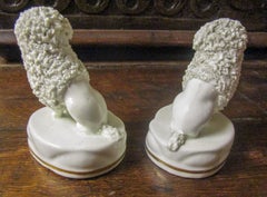 19th Century Staffordshire Pottery Poodle Pair, Petite Size