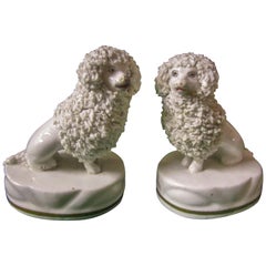 Antique 19th Century Staffordshire Pottery Poodle Pair, Petite Size