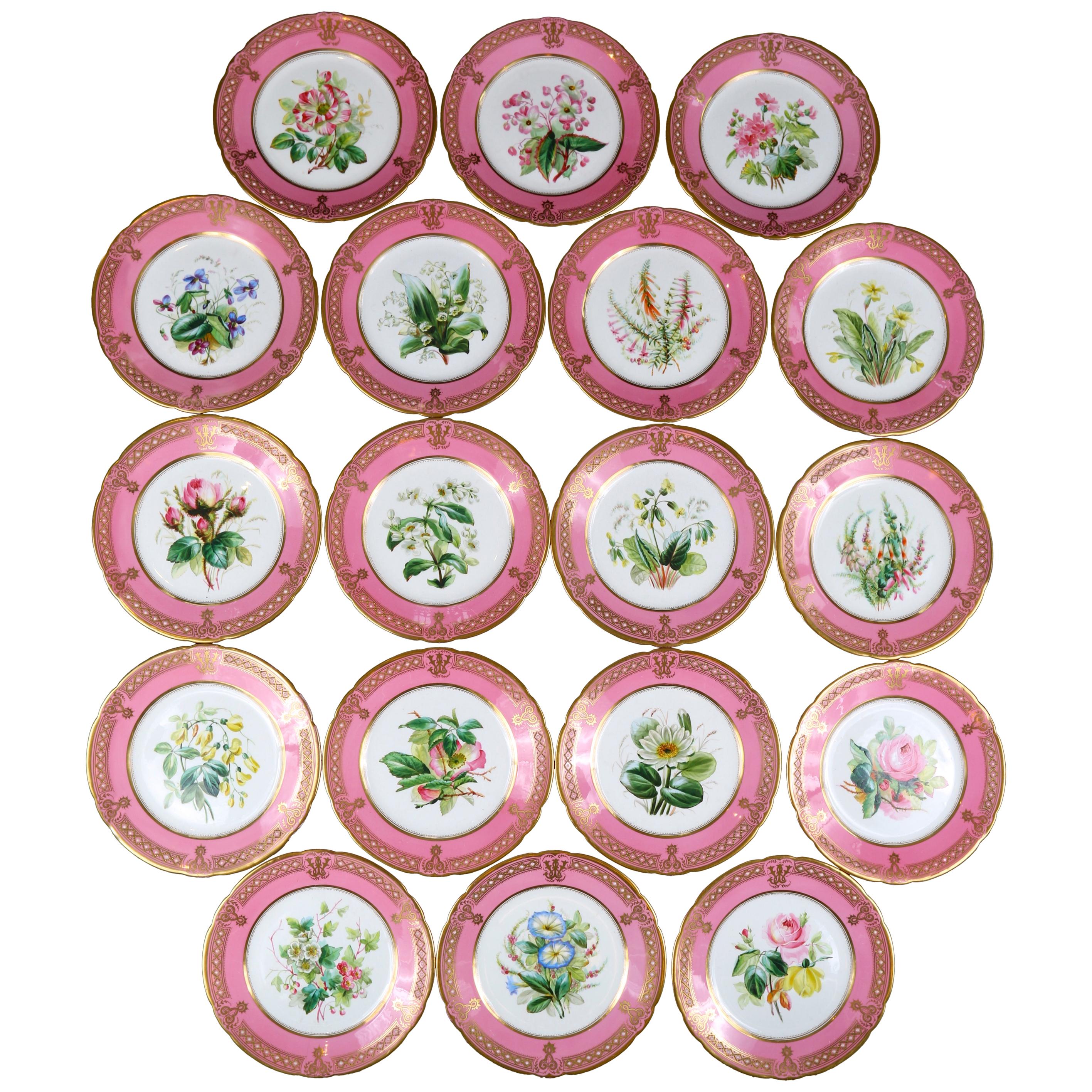 19th Century Staffordshire Rose Pompadour Botanical Dessert Service