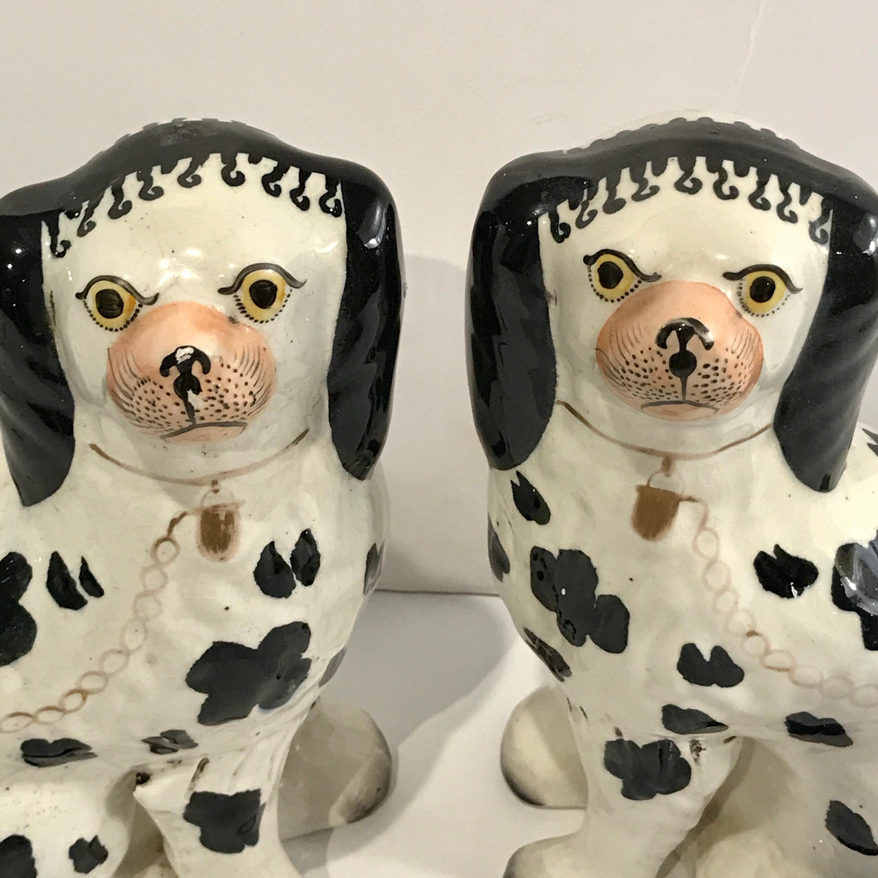 19th Century Staffordshire Seated Disraeli Black and White Spaniel Dogs 2