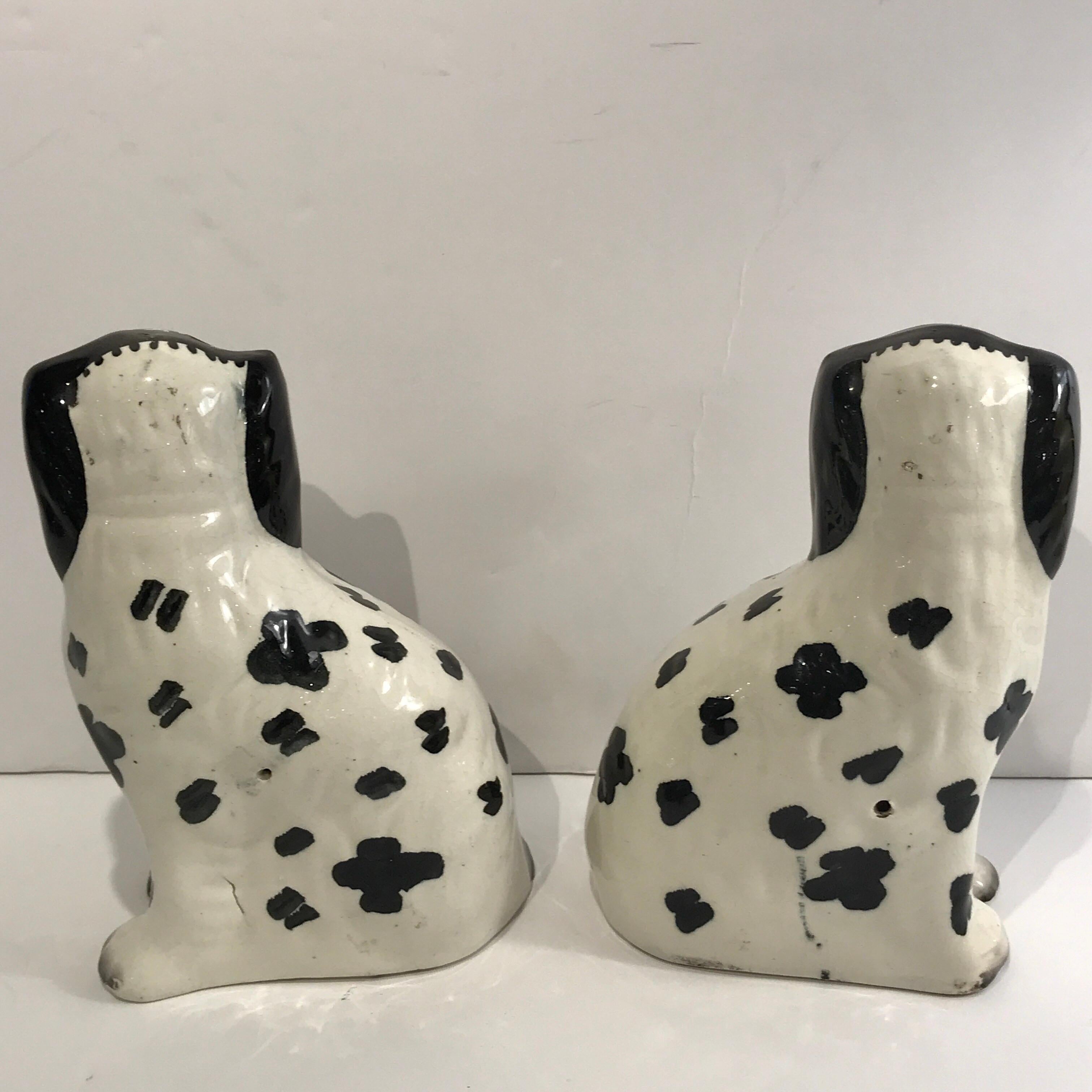 19th Century Staffordshire Seated Disraeli Black and White Spaniel Dogs 4