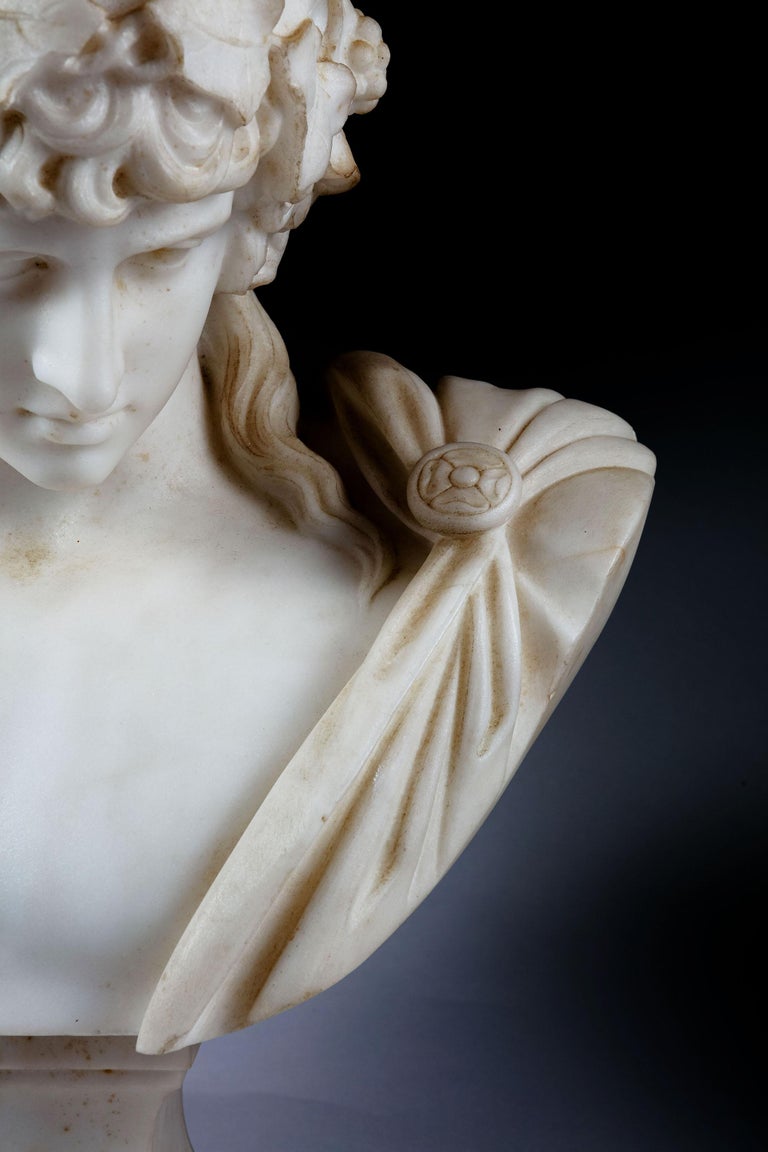 19th Century Statuary Marble Bust of the Braschi Antinous as Dionysus