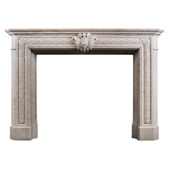 19th Century Statuary White Marble Fireplace, Carved Leafwork, England