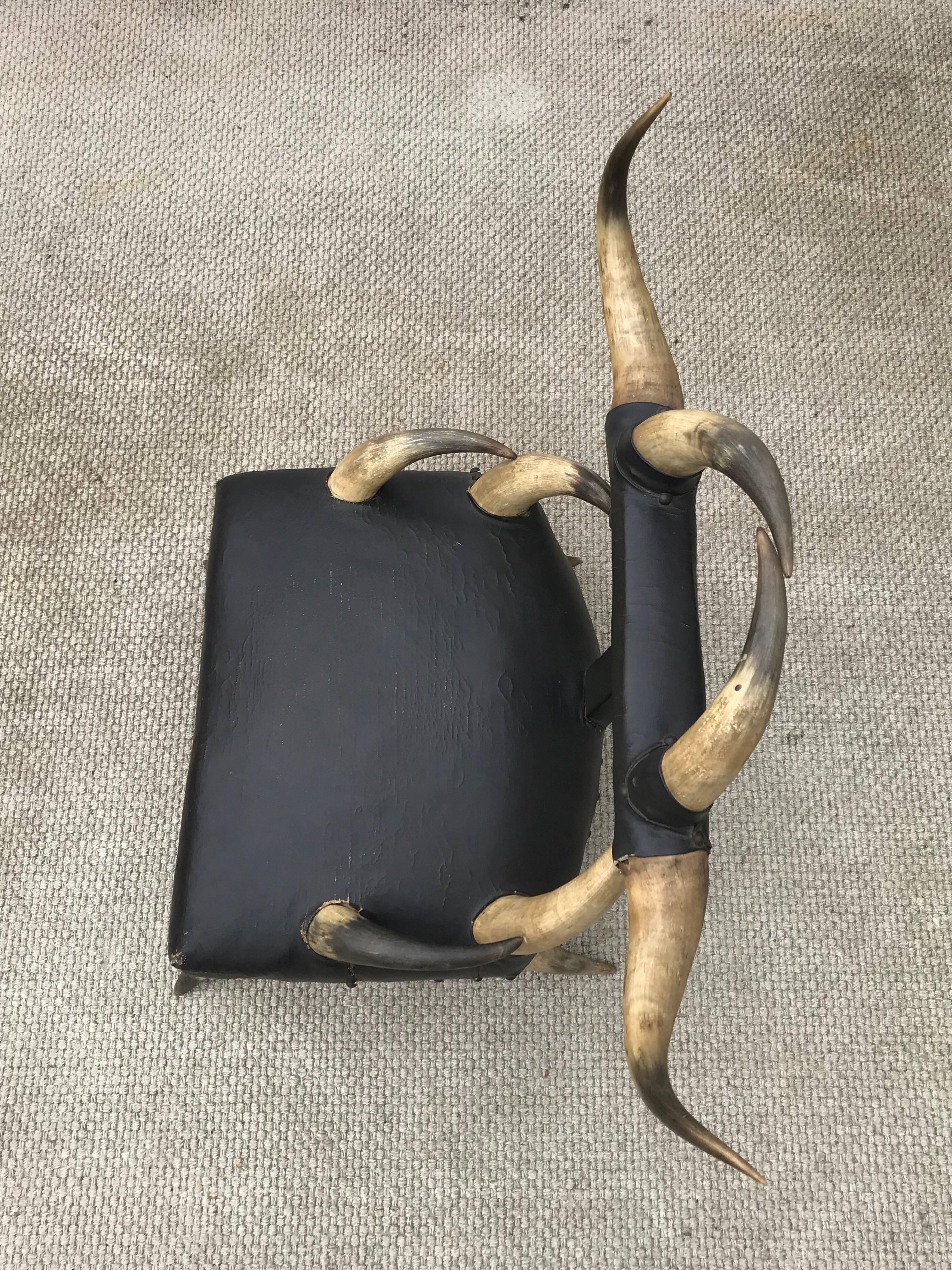 19th Century Steer Horn Chair of a Petite Size 8