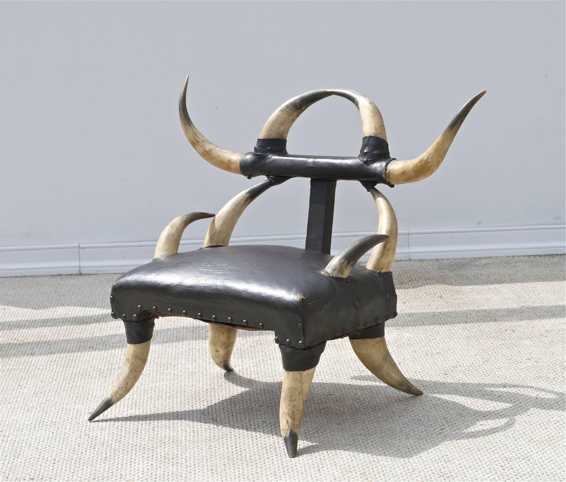 American 19th Century Steer Horn Chair of a Petite Size