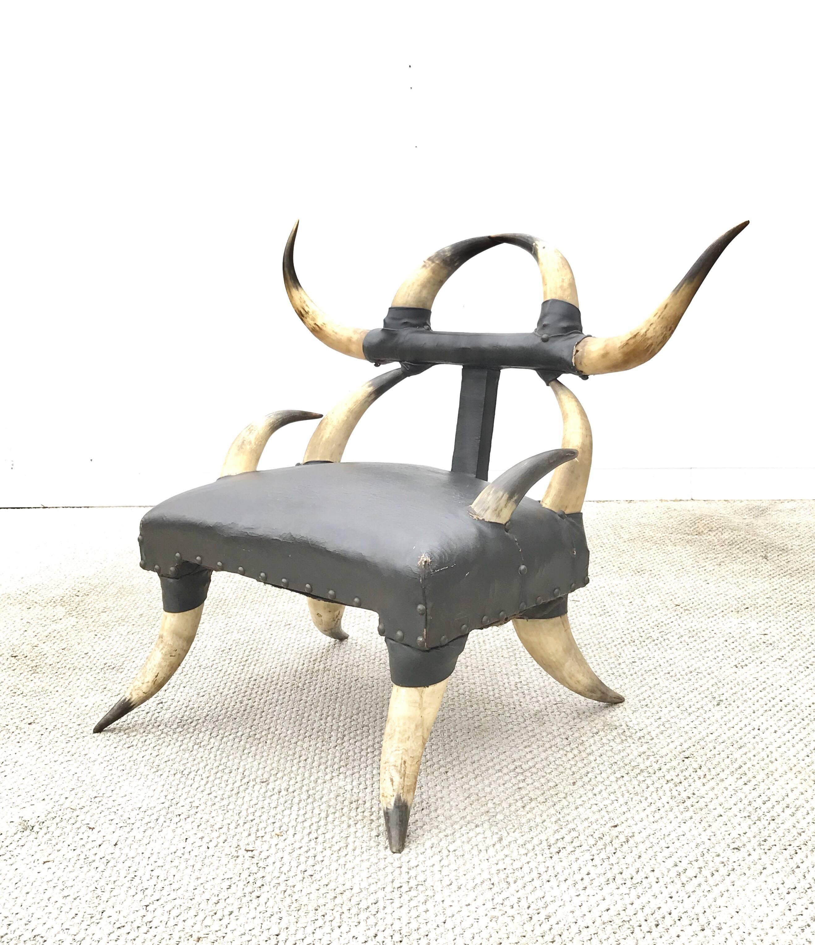19th Century Steer Horn Chair of a Petite Size 1