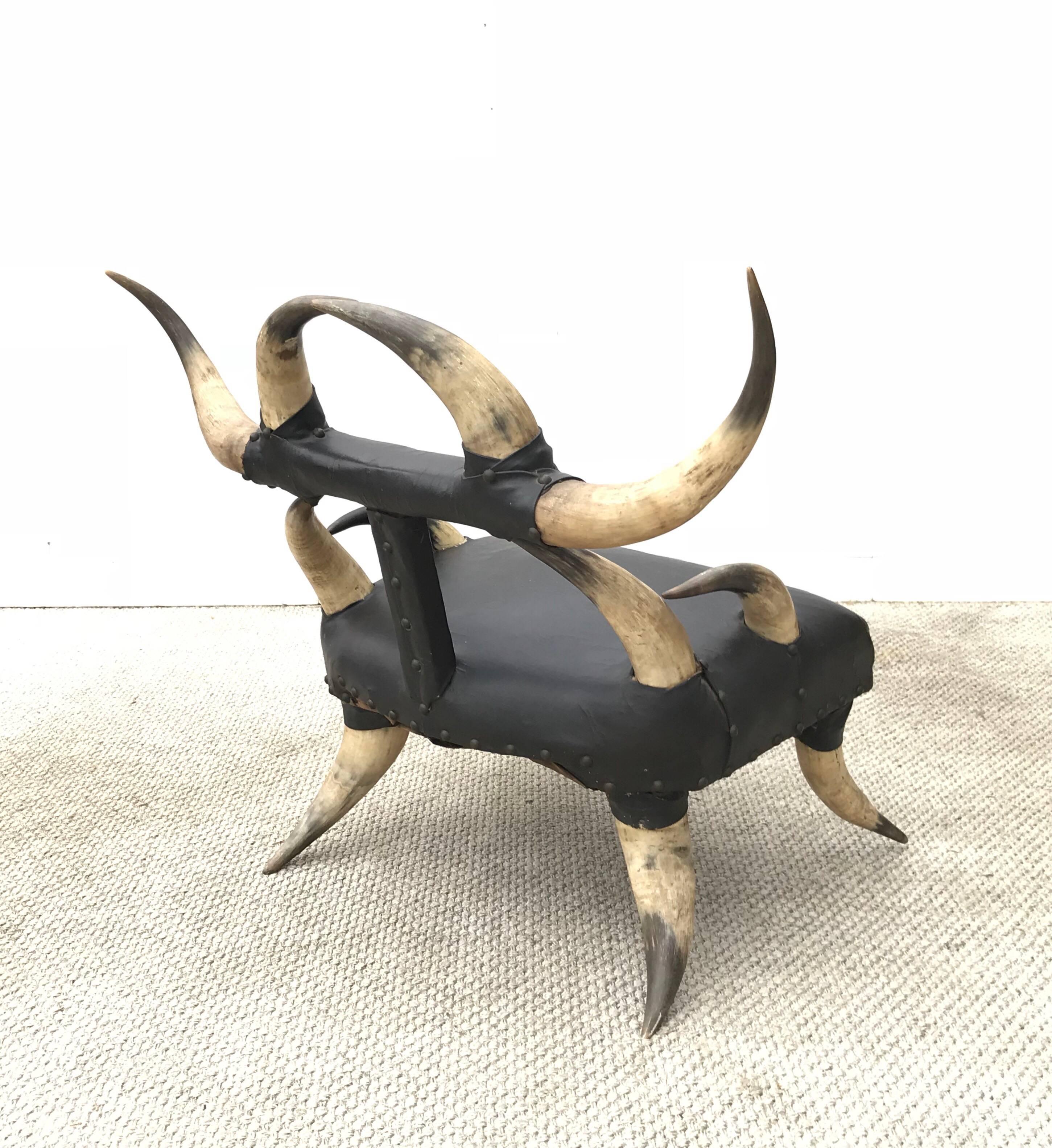 19th Century Steer Horn Chair of a Petite Size 2