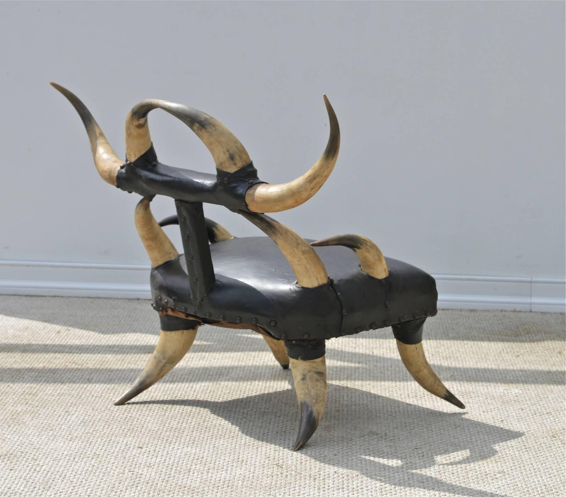 19th Century Steer Horn Chair of a Petite Size 3