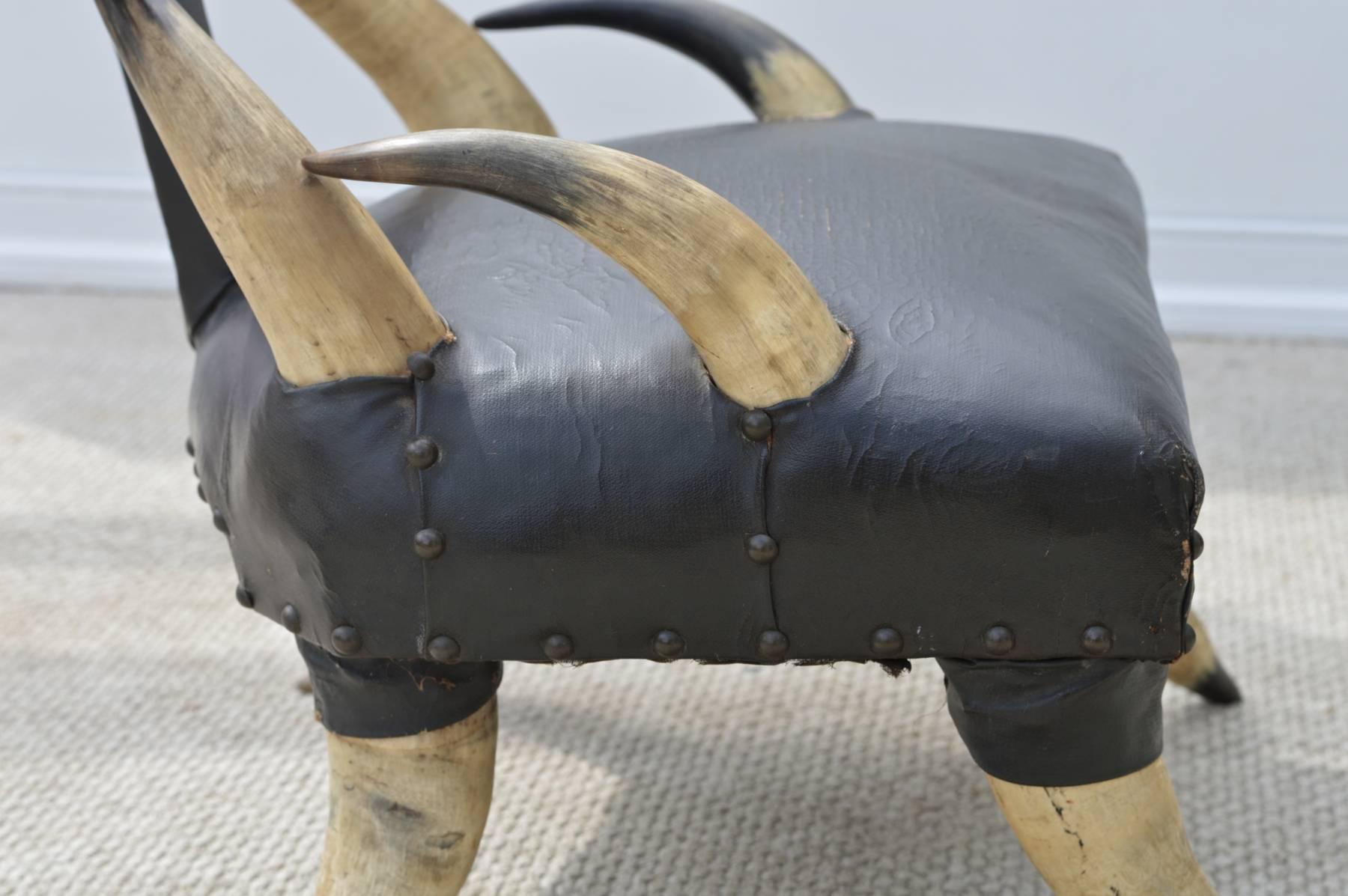 19th Century Steer Horn Chair of a Petite Size 4