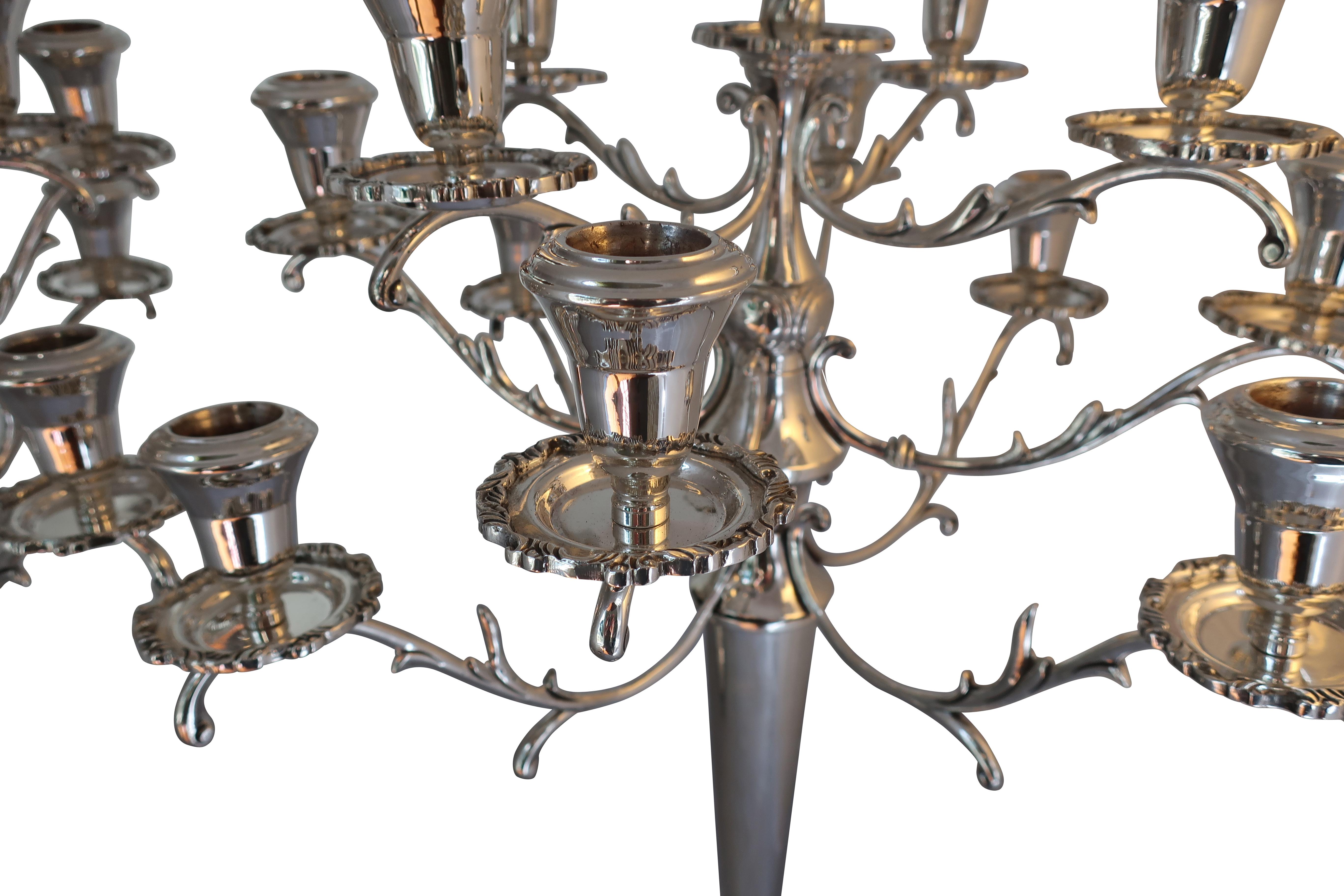 Chandelier à douze branches en argent massif du XIXe siècle en vente 1