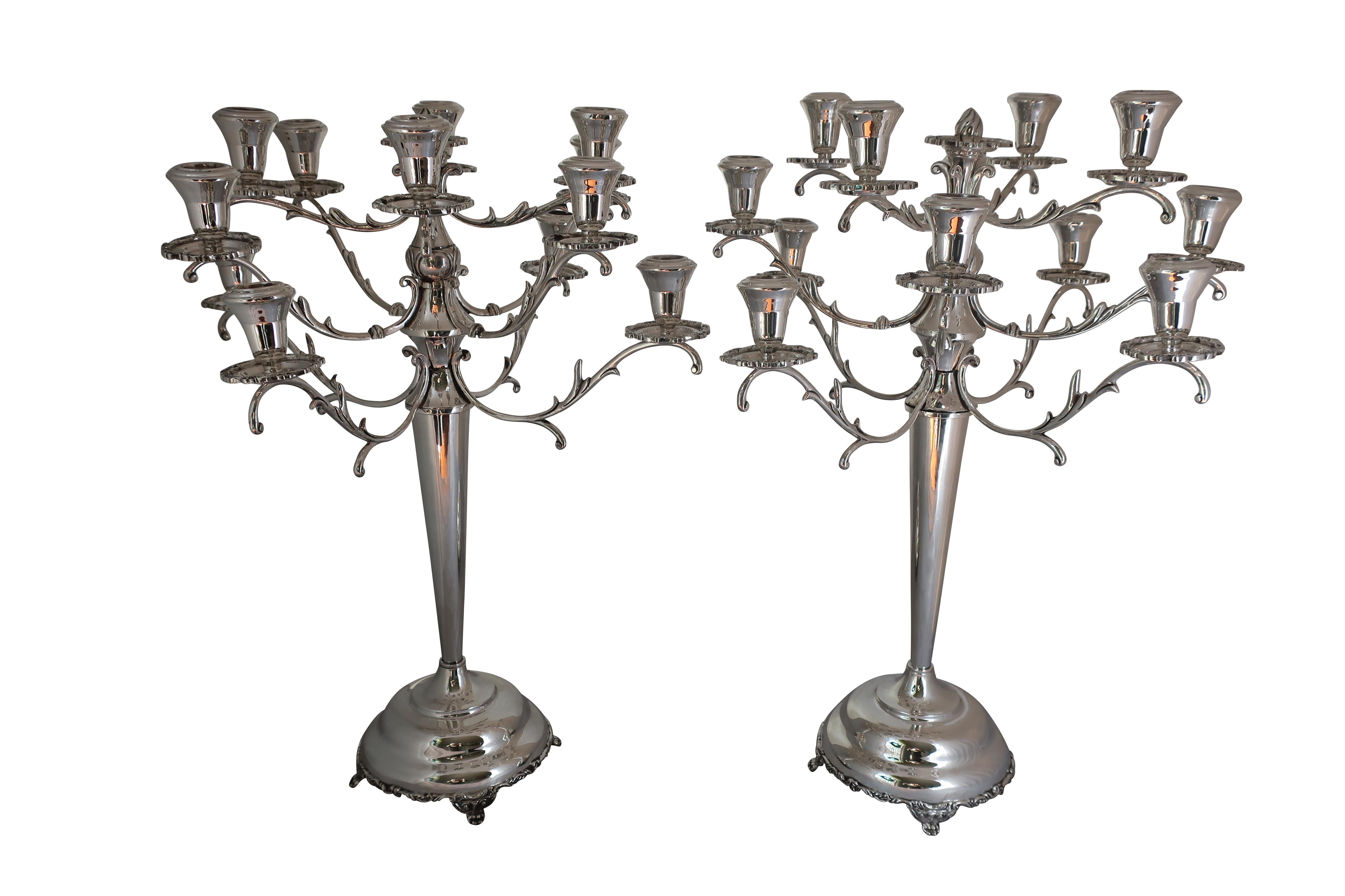 Chandelier à douze branches en argent massif du XIXe siècle en vente 2