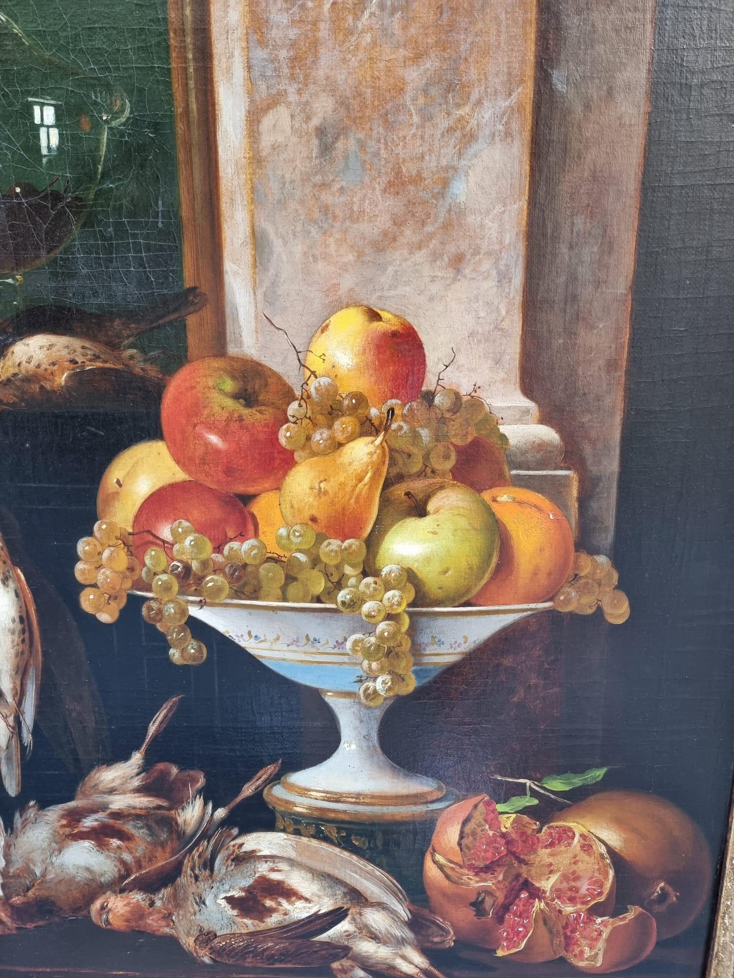 19th Century Still Life with Dead Birds In Good Condition In Firenze, IT