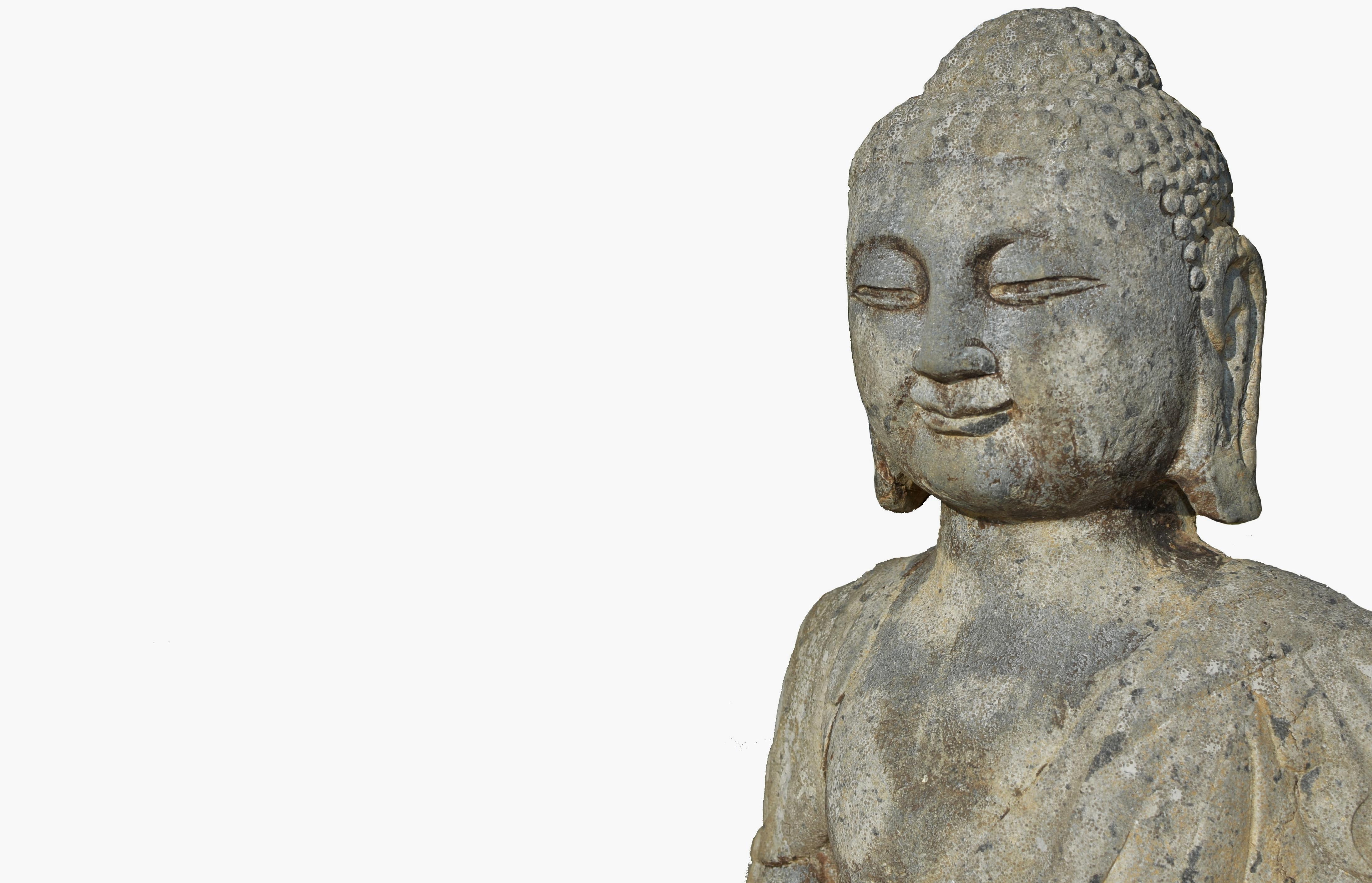 Buddha Shakyamuni-Statue aus Stein aus dem 19. Jahrhundert im Angebot 6