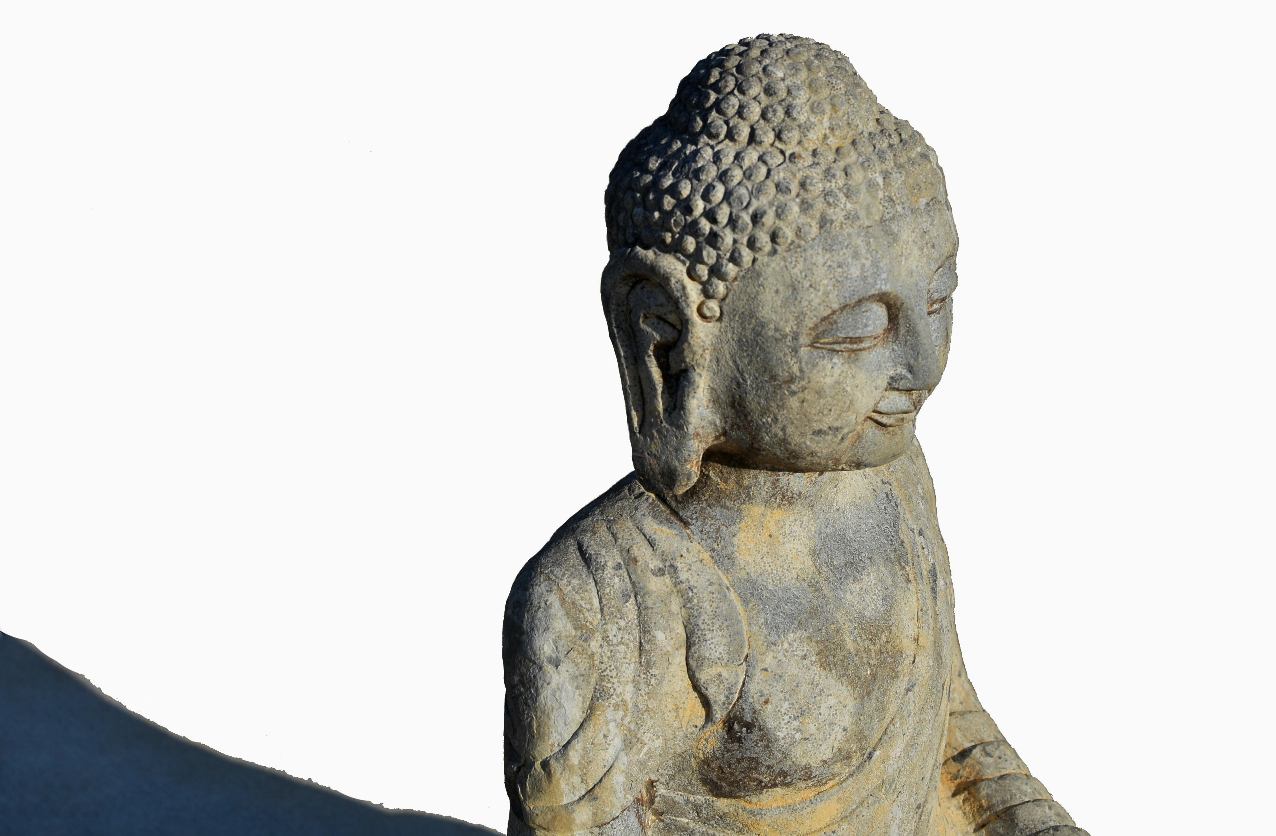 Chinese 19th Century Stone Buddha Shakyamuni Statue For Sale