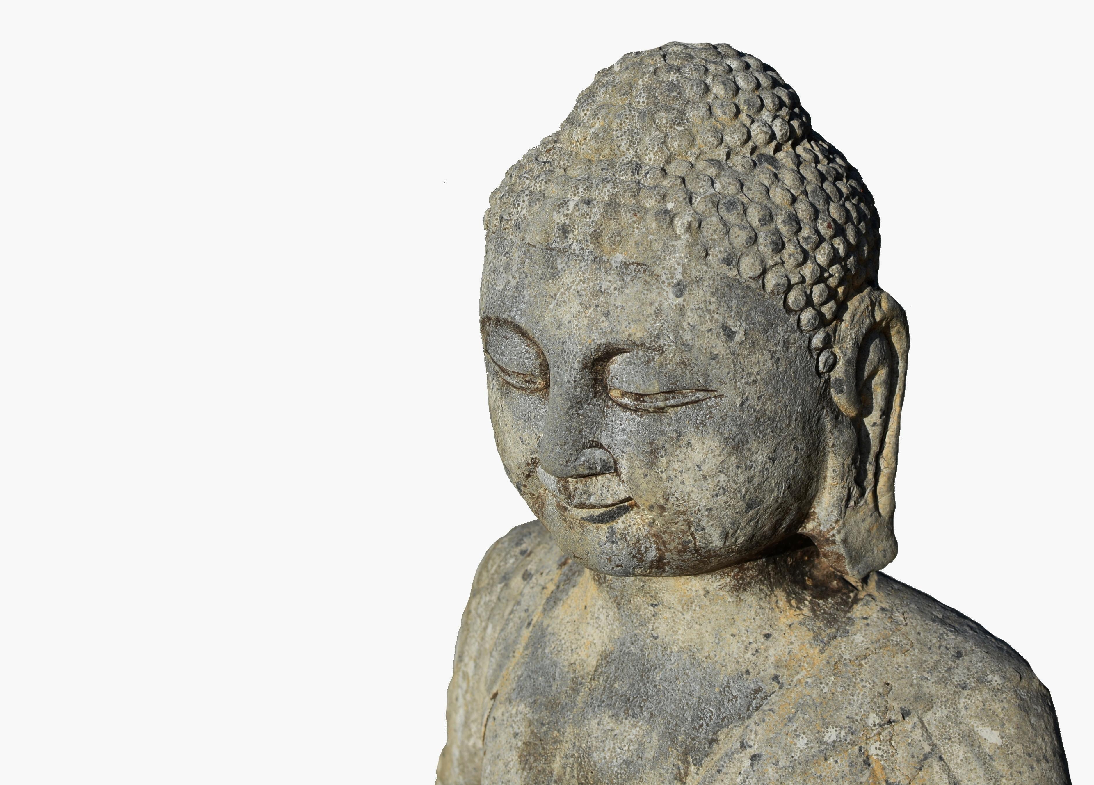 Buddha Shakyamuni-Statue aus Stein aus dem 19. Jahrhundert im Angebot 3
