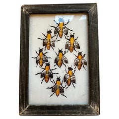 19th-Century Study of Bumble Bees: A Collection of Nine Detailed Paintings