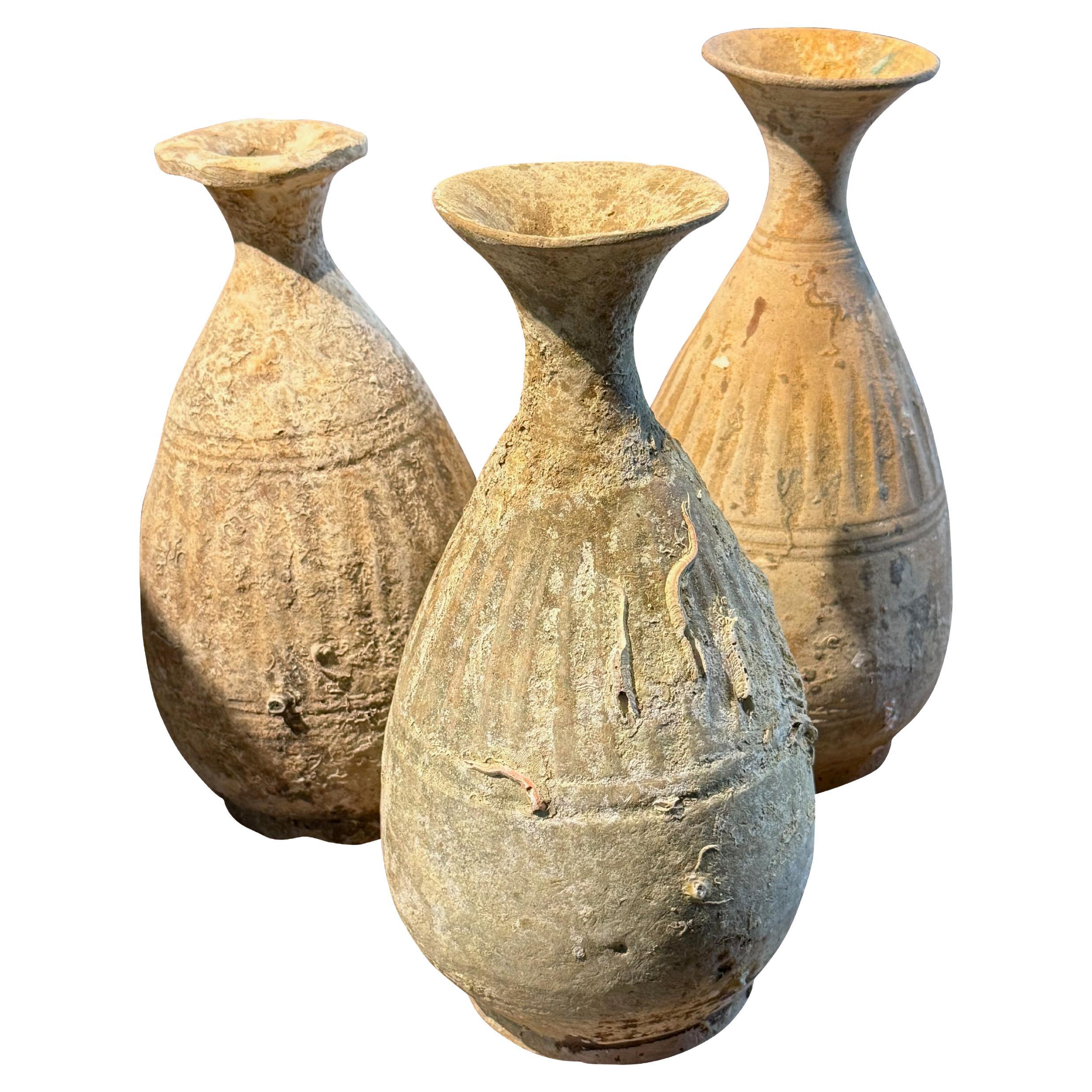 Bouteilles de médicaments du 19e siècle provenant de l
épave du navire Sukhothai, Thaïlande