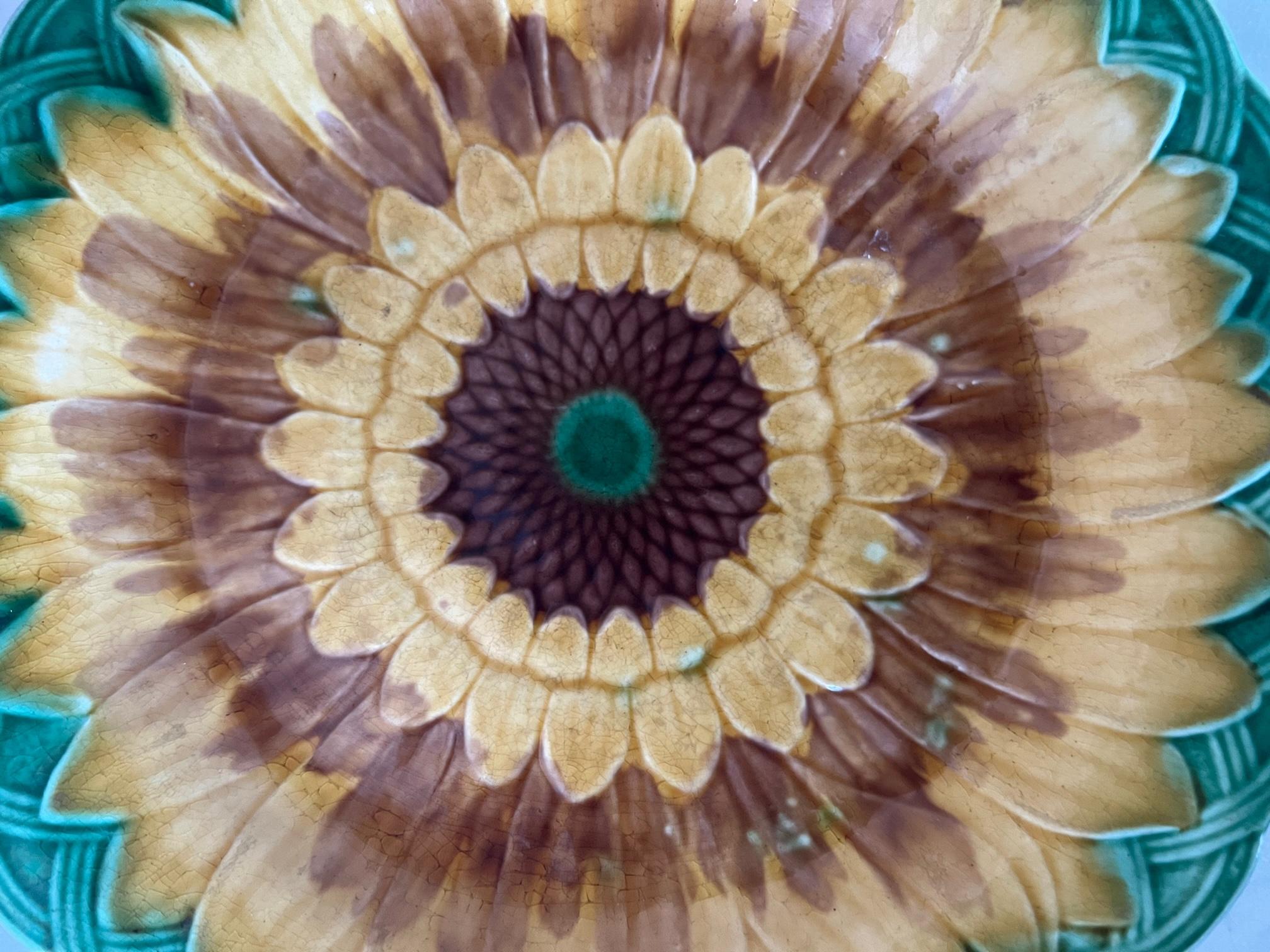 English 19th Century Sunflower Plate by Wedgwood For Sale