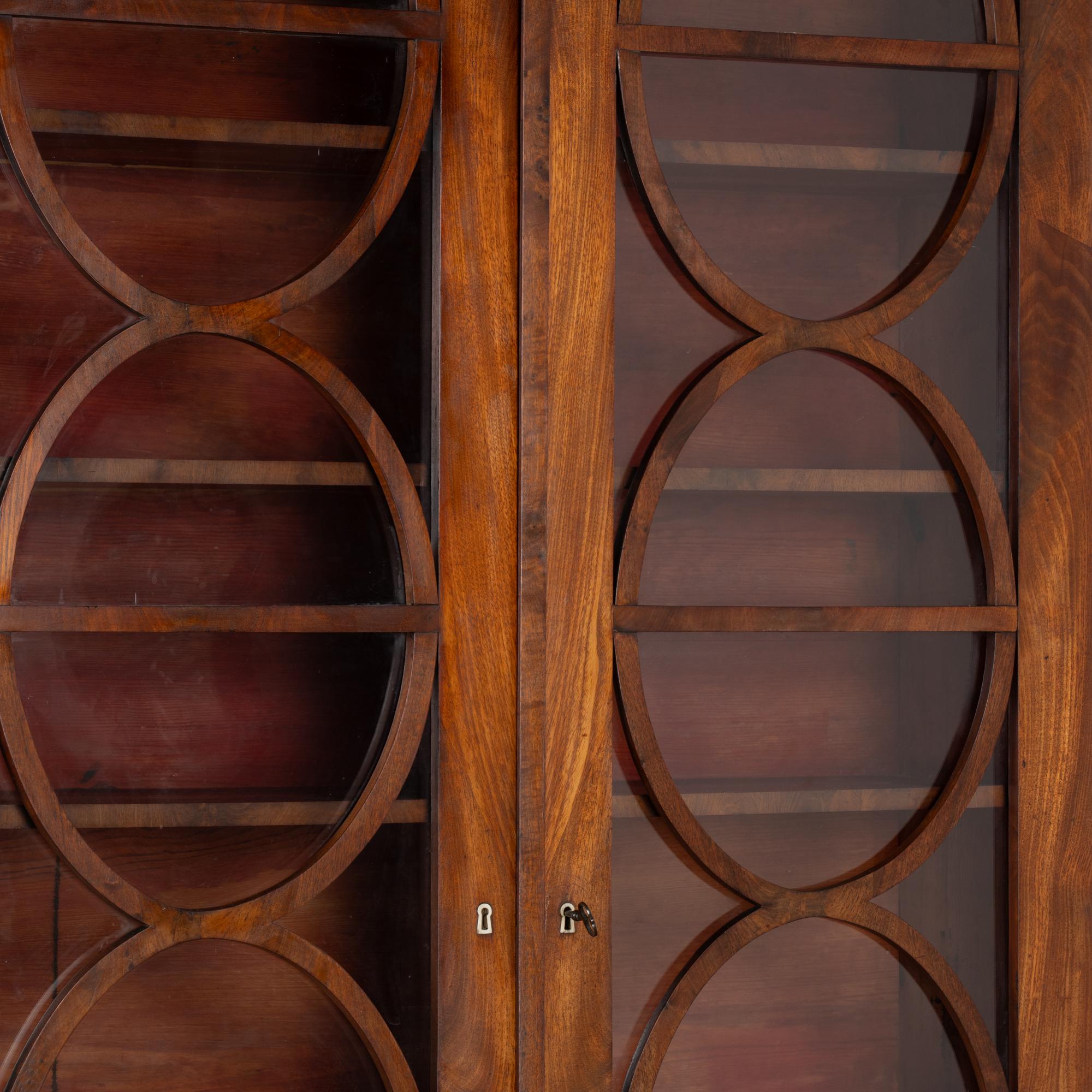 19th Century Swedish Biedermeier Narrow Mahogany Bookcase Display Cabinet 4