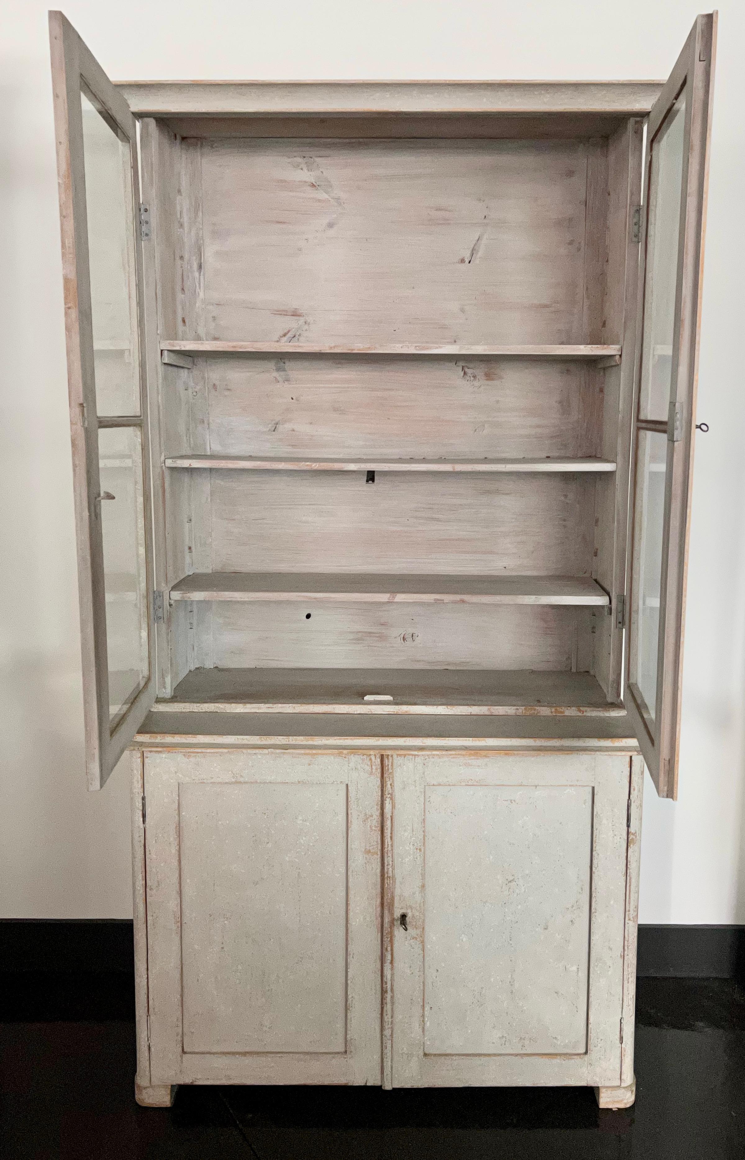 Hand-Carved 19th Century Swedish Bookcase / Vitrine with Glass Fronted Doors For Sale