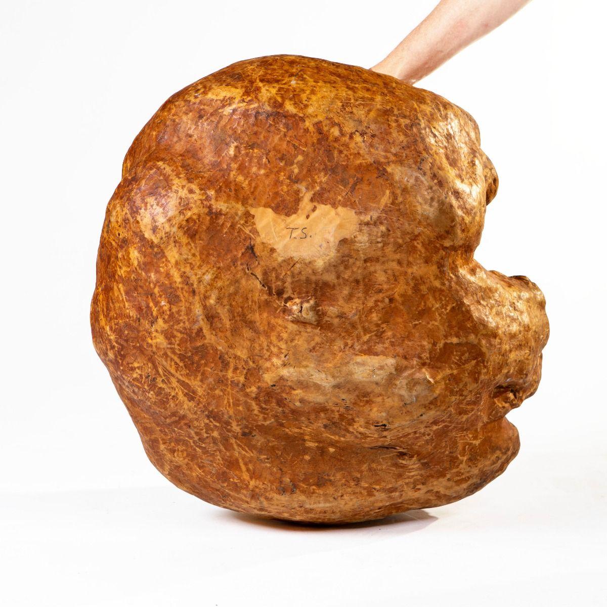 19th Century Swedish Folk Art Birch Root Bowl with Carved Dog’s Head, Signed T.S For Sale 9