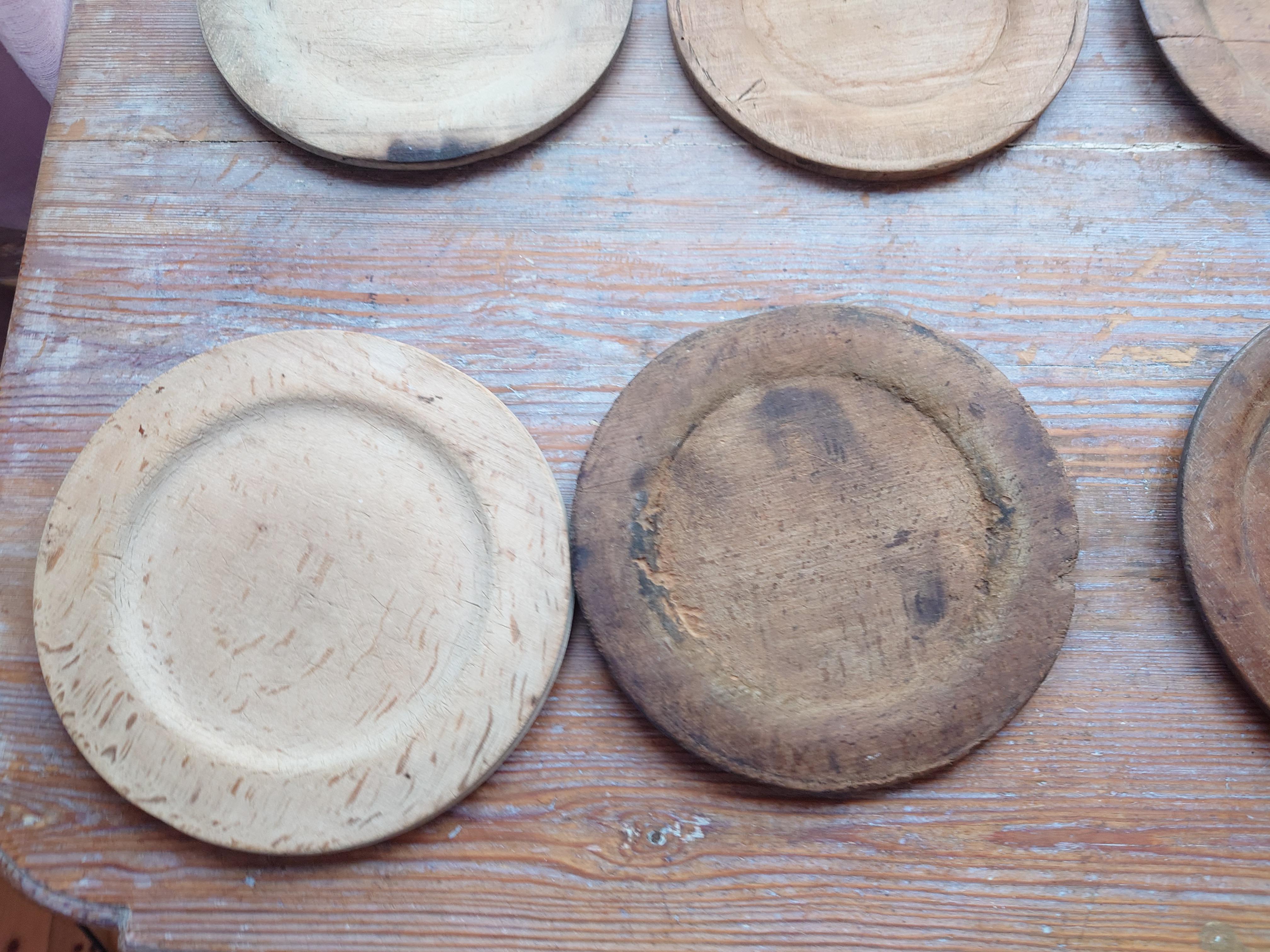 Schwedisch im 19. Jahrhundert  Kollektion von 8 echten rustikalen Holzplatten (Kiefernholz) im Angebot