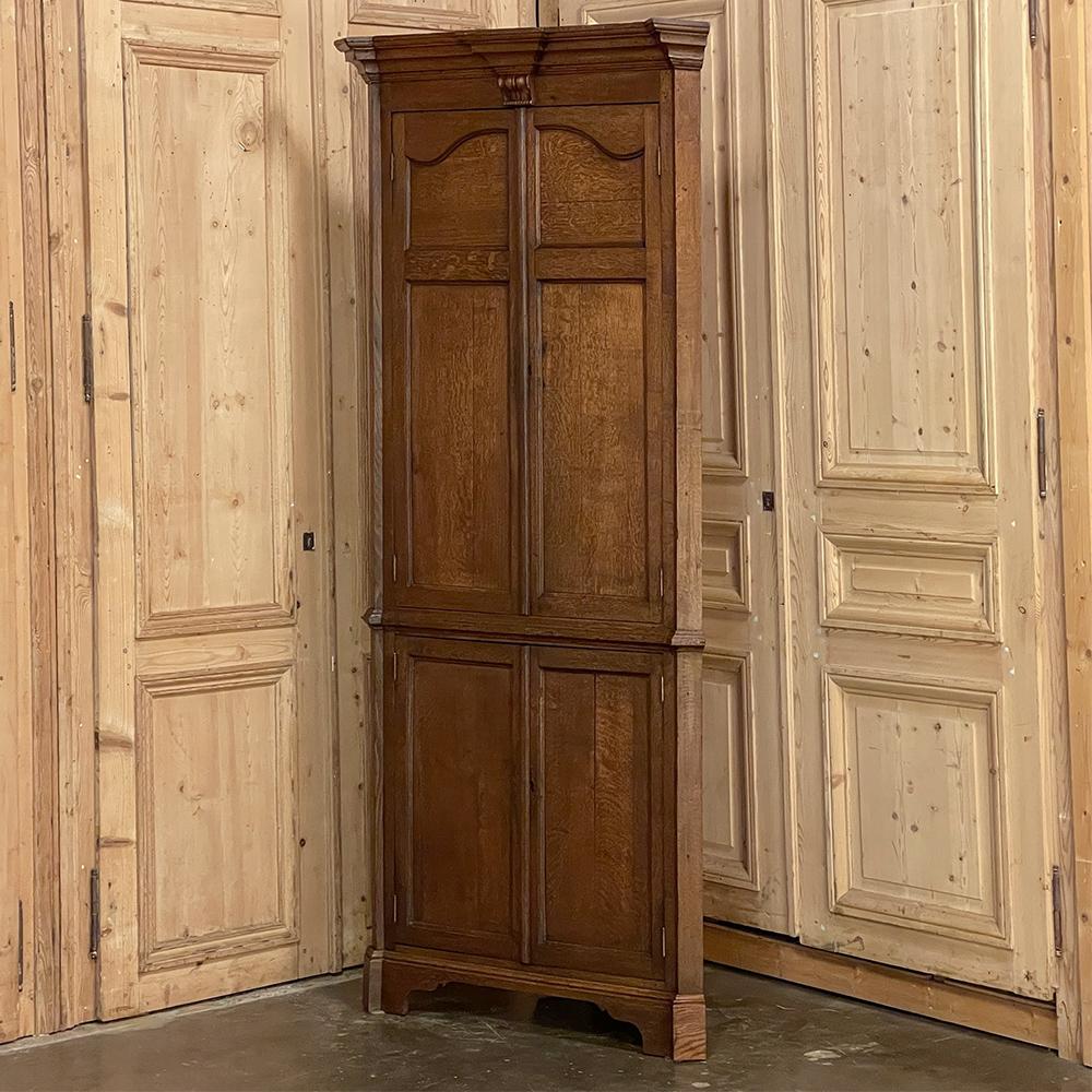 19th Century Swedish Gustavian Neoclassical Corner Cabinet In Good Condition For Sale In Dallas, TX