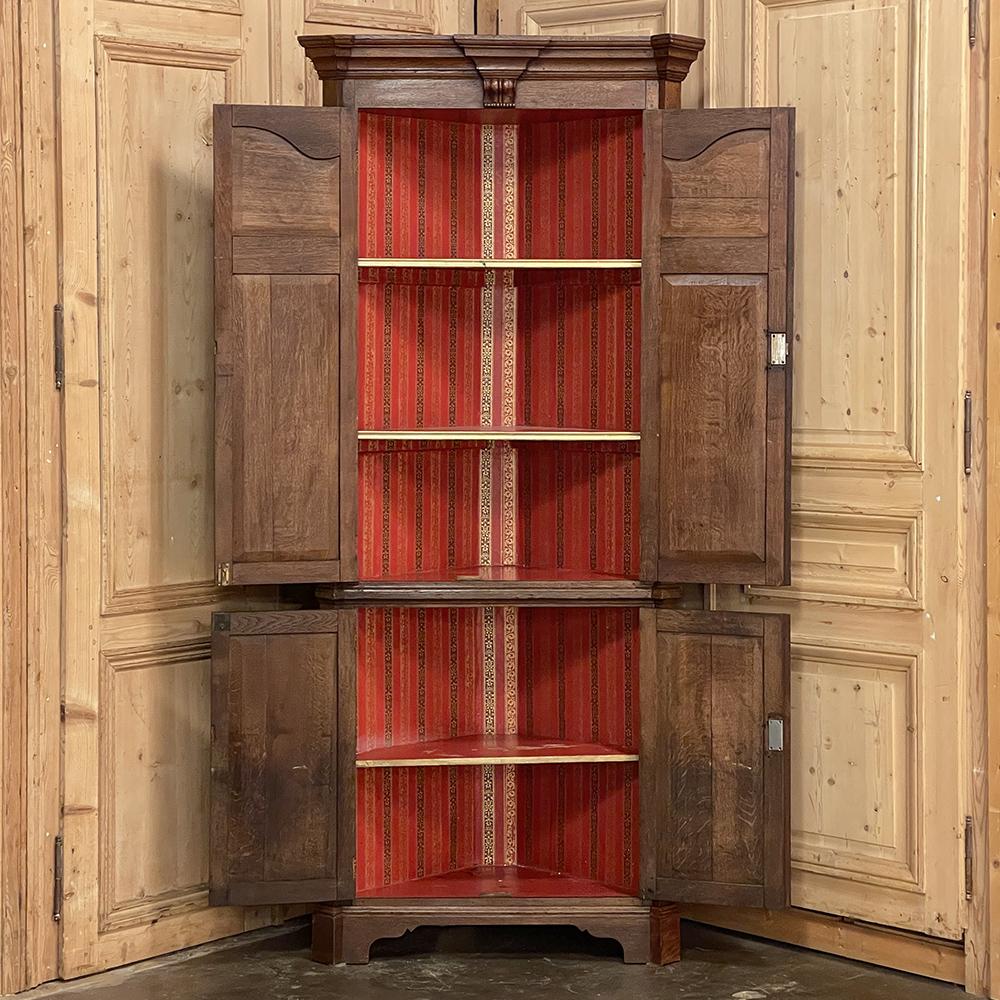 Late 19th Century 19th Century Swedish Gustavian Neoclassical Corner Cabinet For Sale